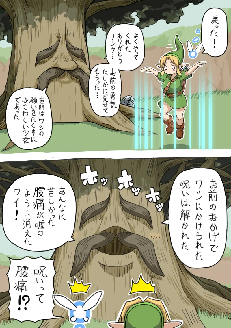 OOT FemLink Page.17