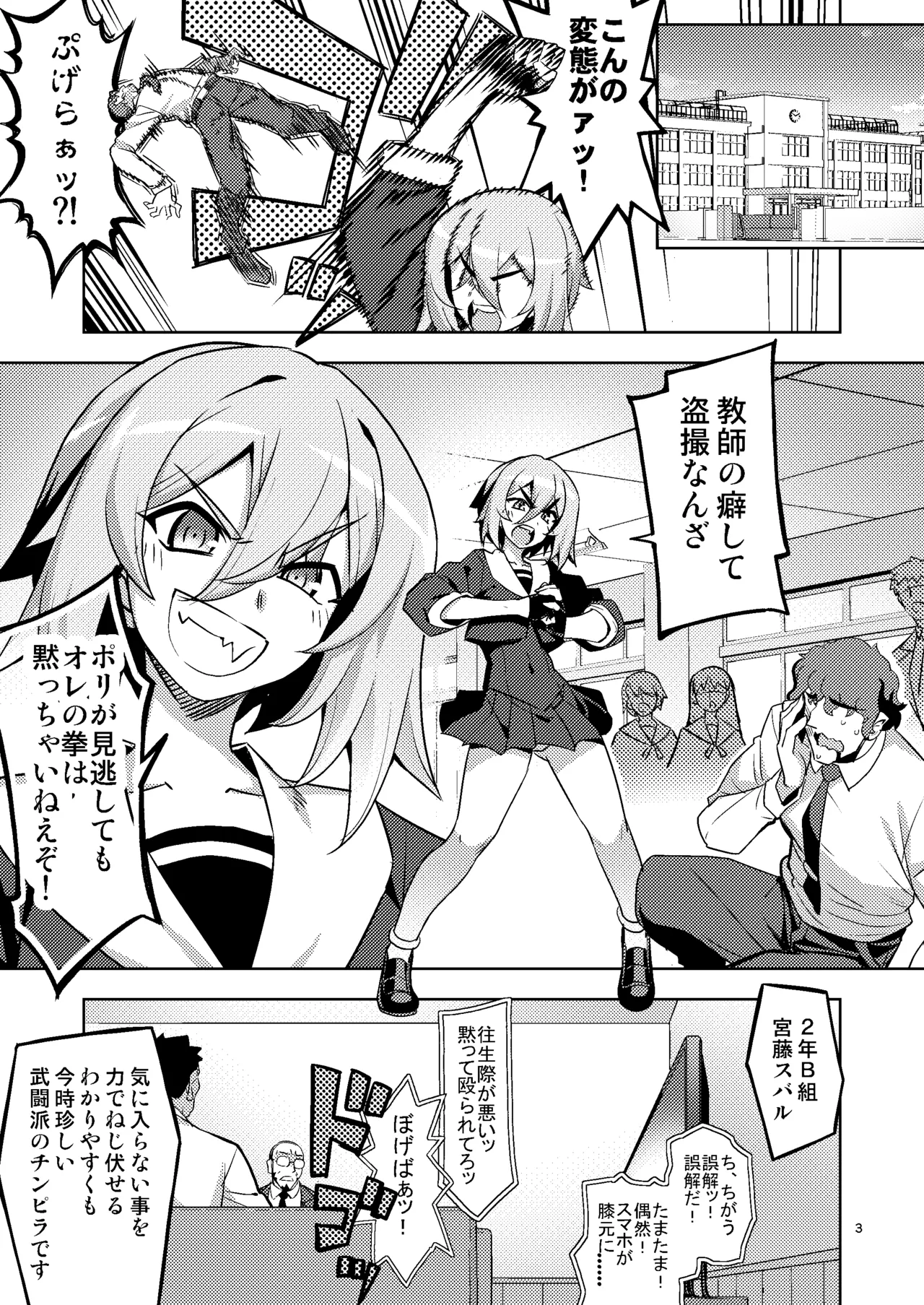 性芯注入 オレっ娘嬌声指導 RE35 Page.3