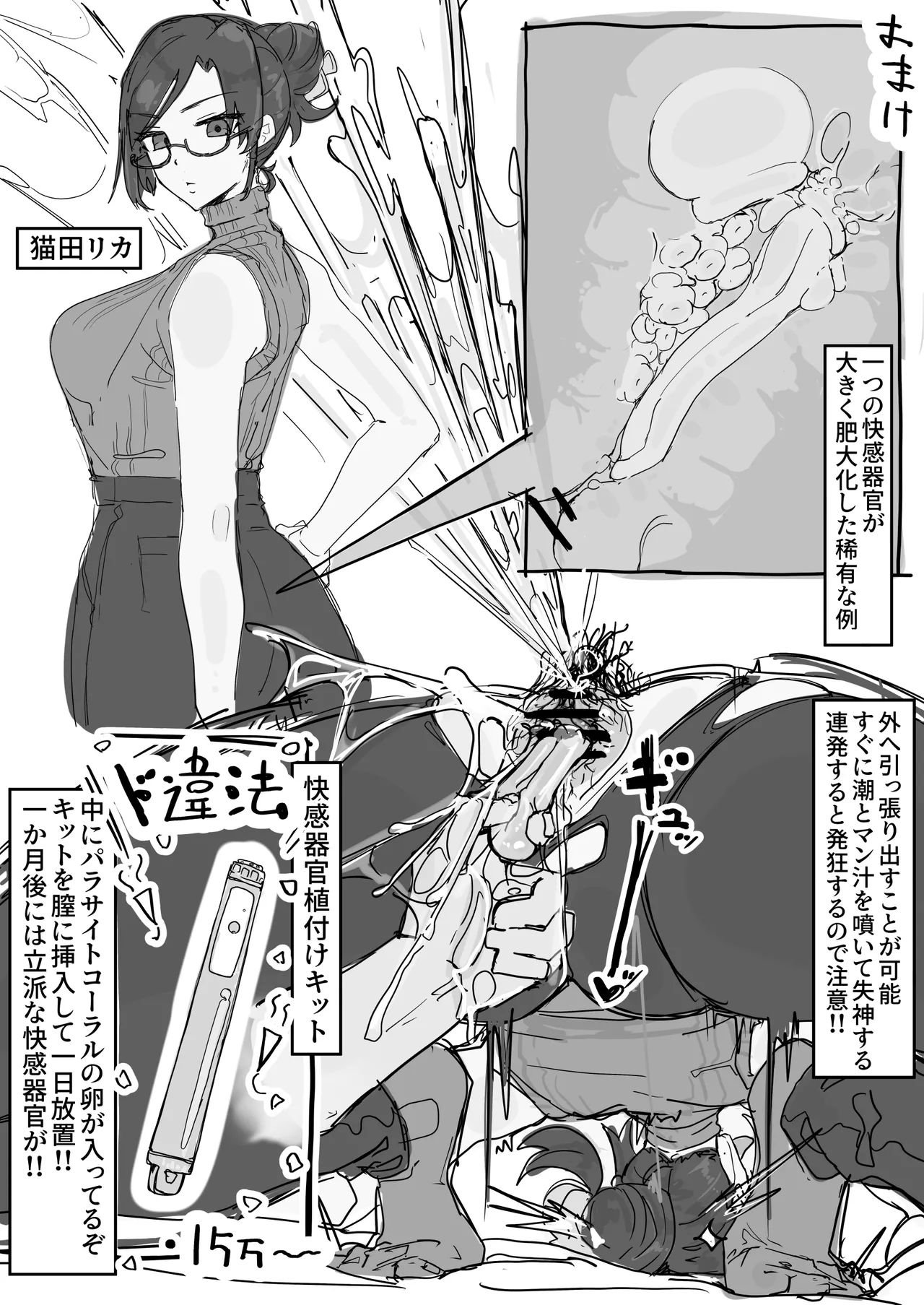 快感器官:寄生型 Page.49