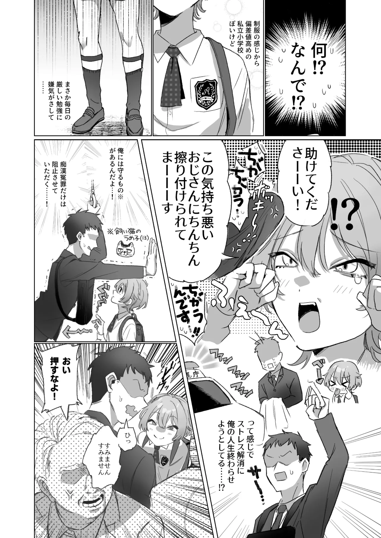 やたら顔の良いショタに痴○されて困っています！ Page.3