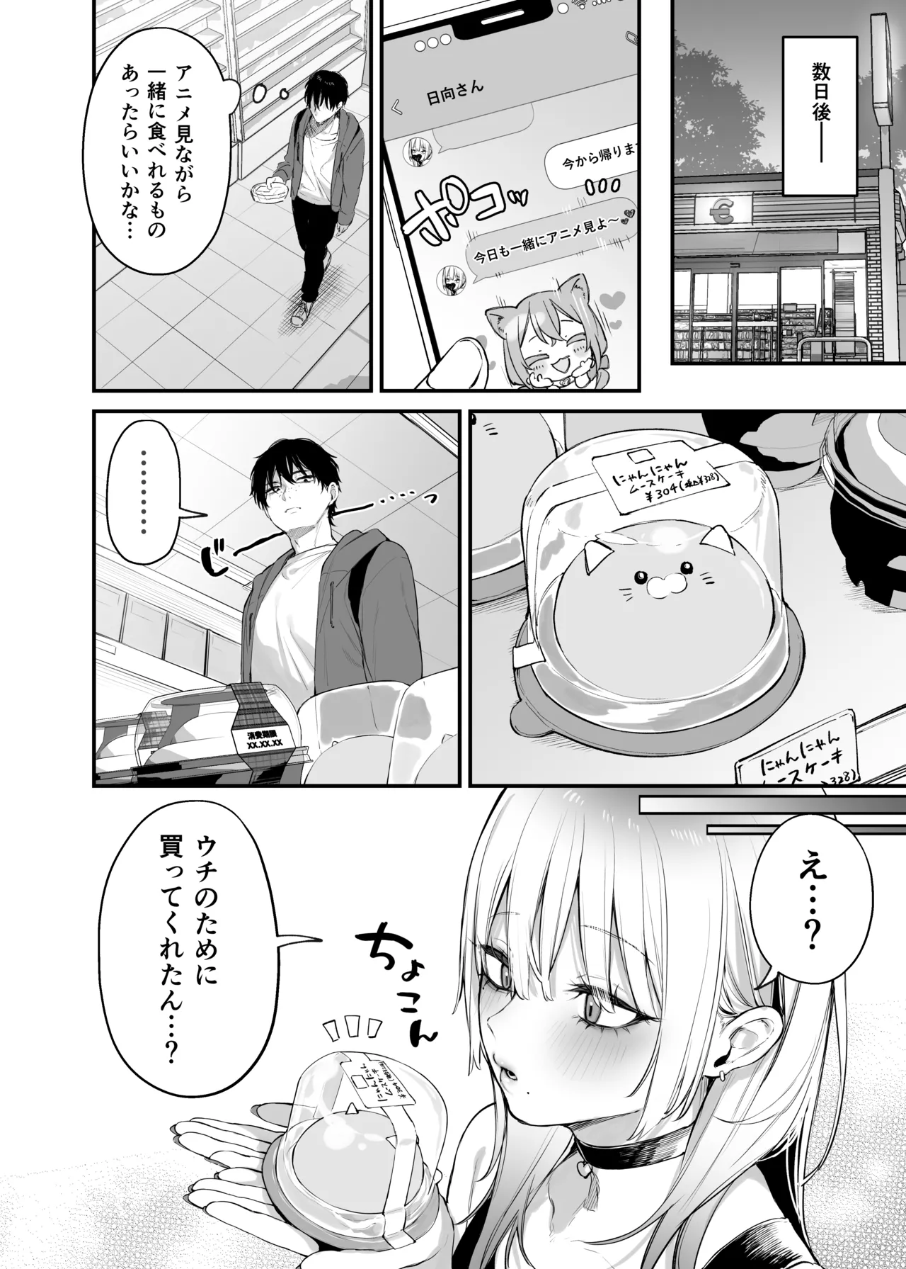 一晩泊めてよ、オタクくん Page.25