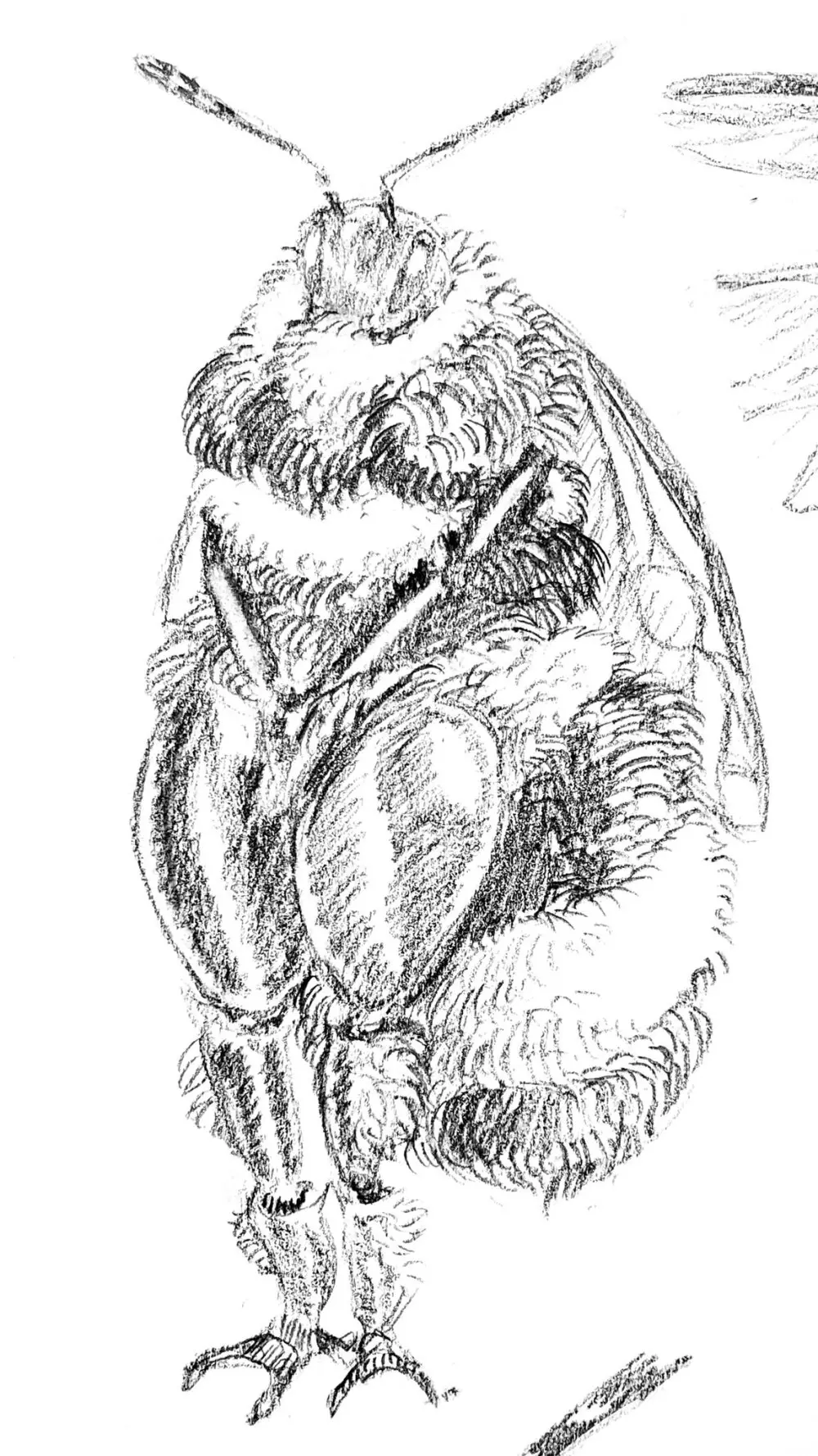 Goatboydraws compilation Page.48