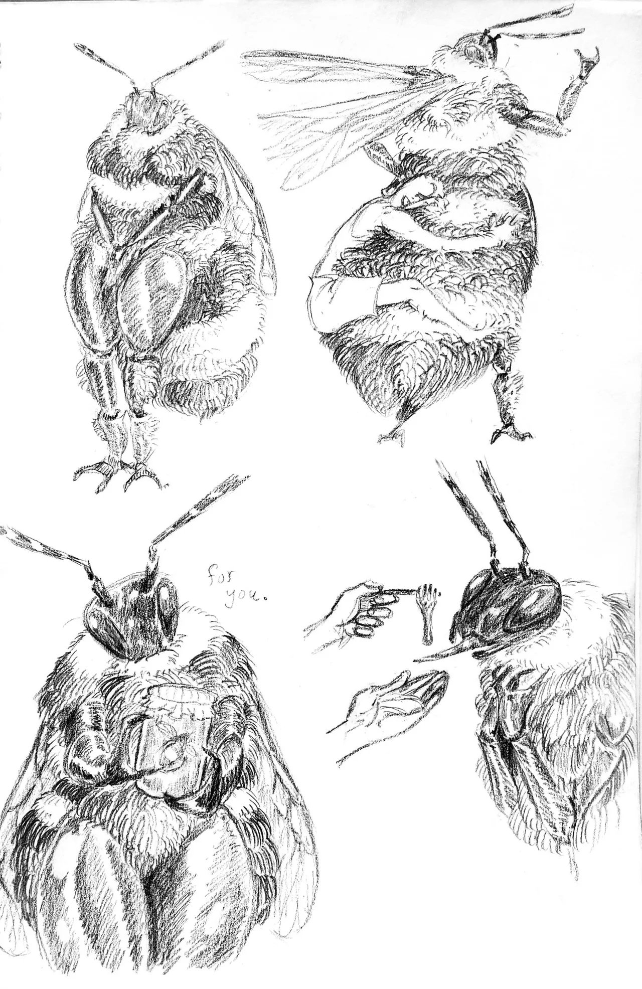 Goatboydraws compilation Page.49