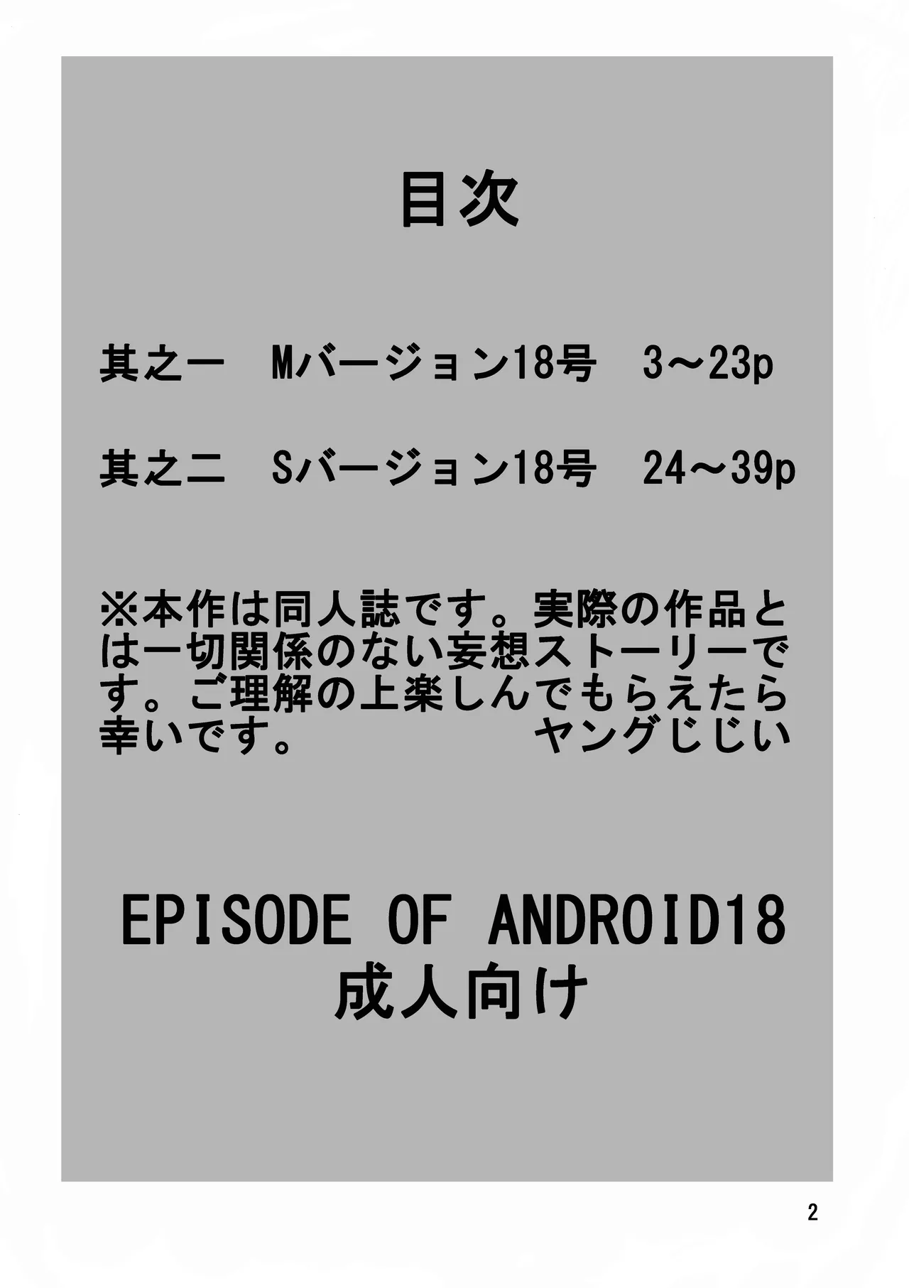 EPISODE OF ANDROID18 Page.3
