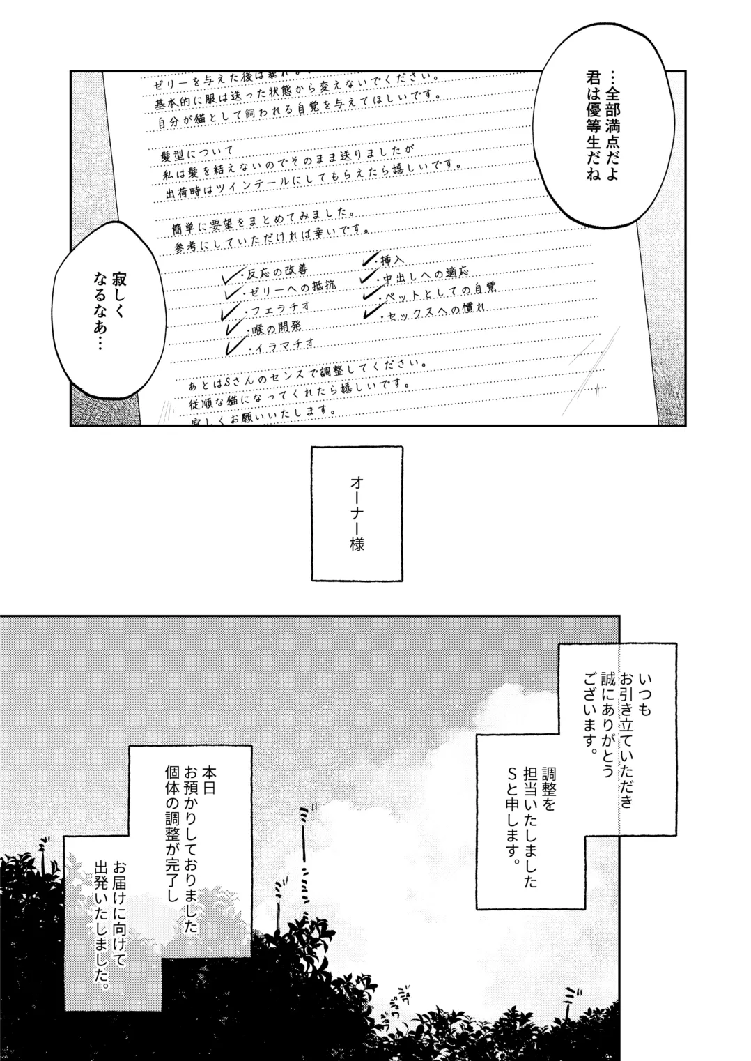 (C106) [しぷおる] 調整記録 ご主人様(あなた)の元へ届くまで [DL版] Page.31