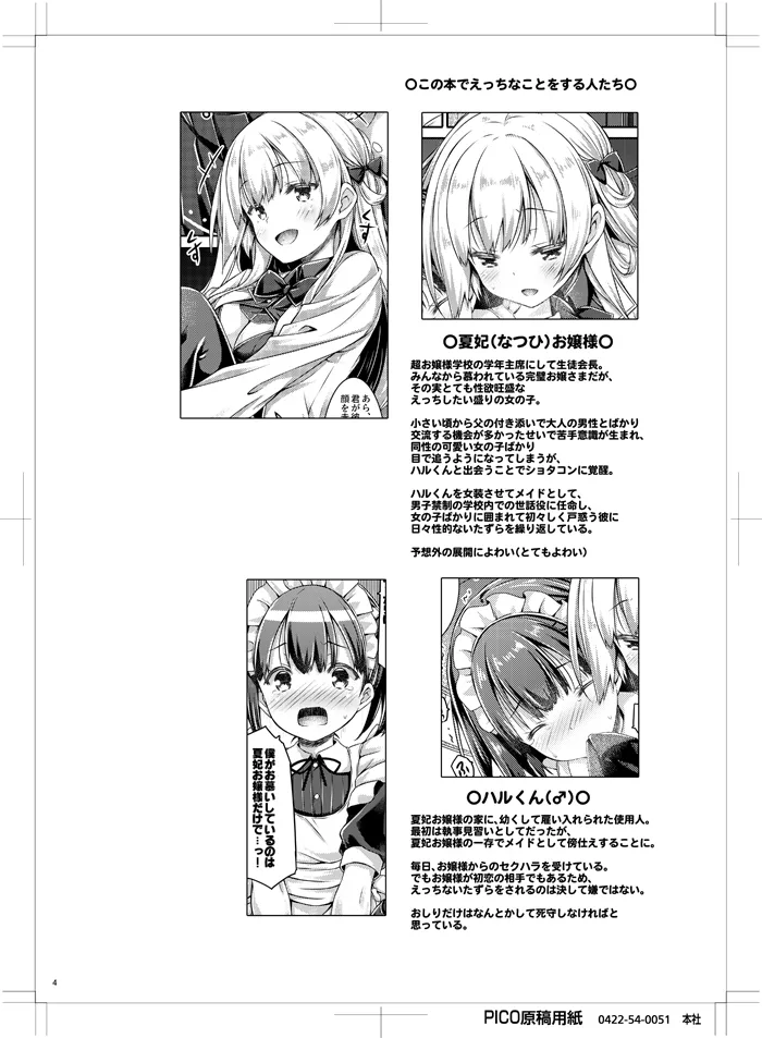 「僕」はお嬢様の愛玩メイド Page.3