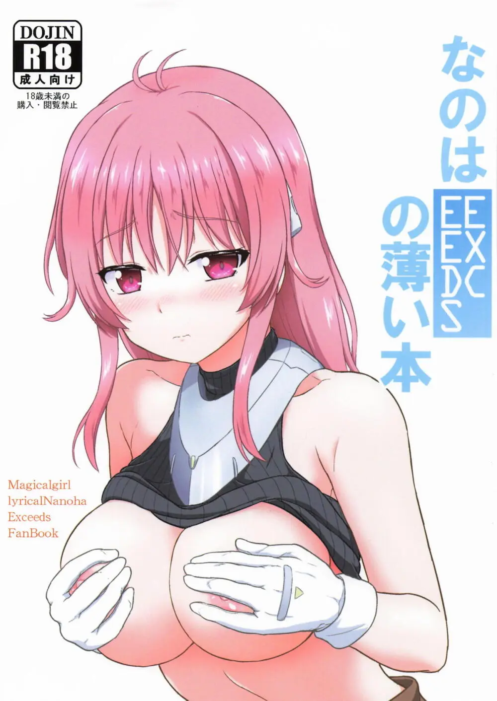 なのはEXCEEDSの薄い本