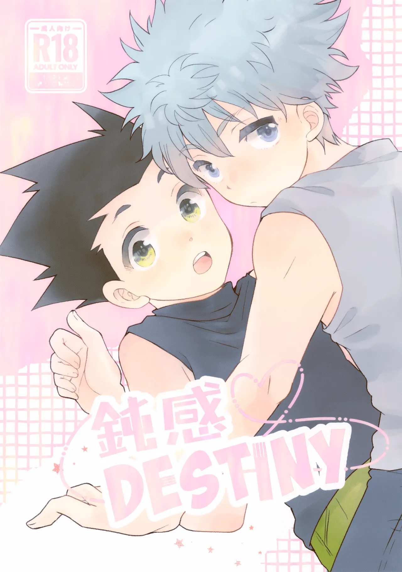 鈍感DESTINY