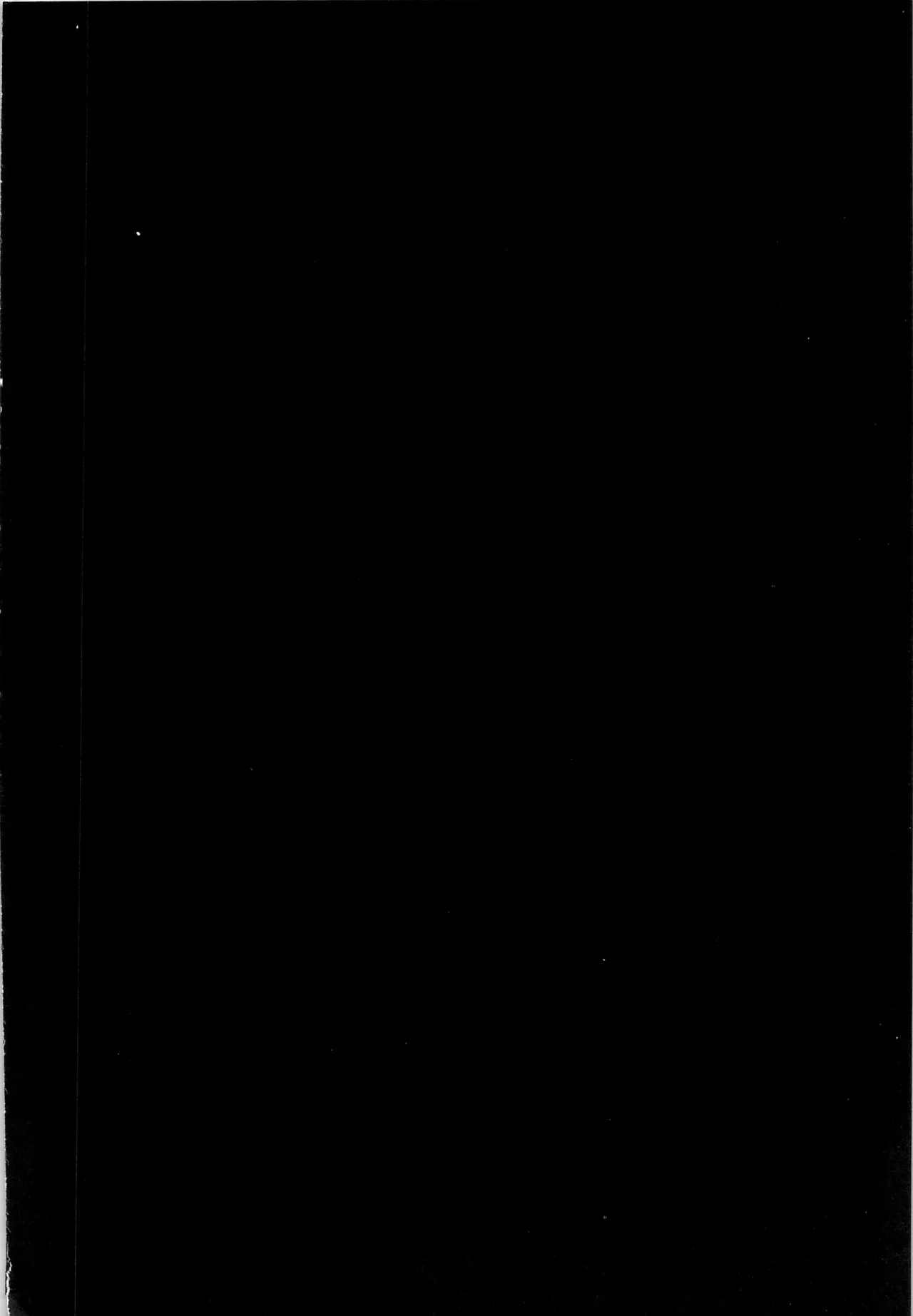 エロ虎ップダンジョン Page.4