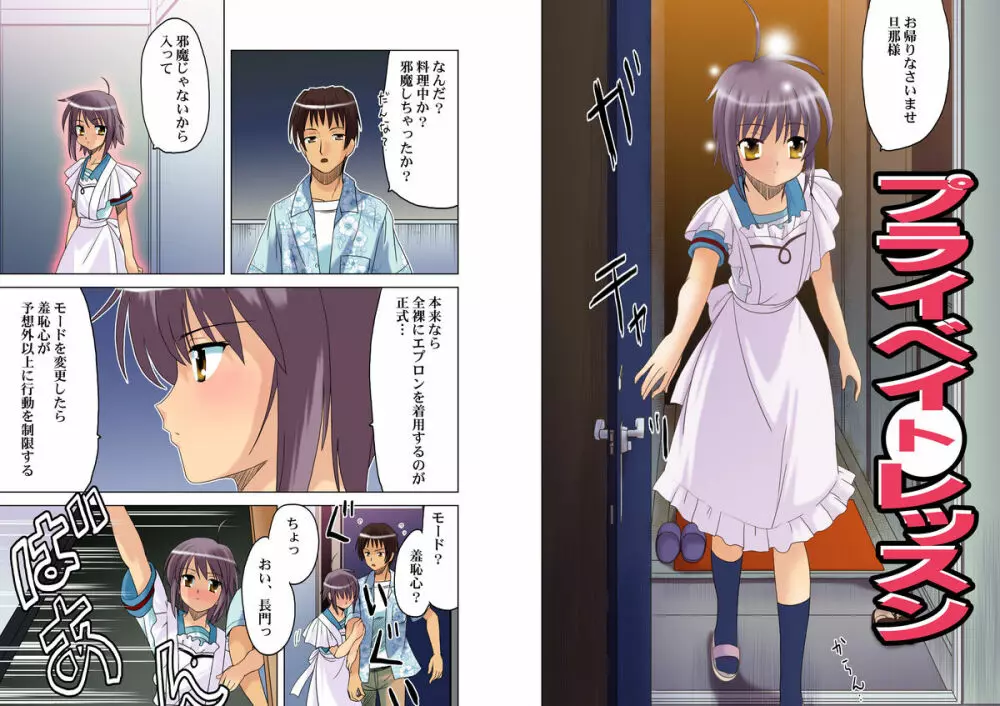 プライベイトレッスン～長門有希の個人授業～ Page.2