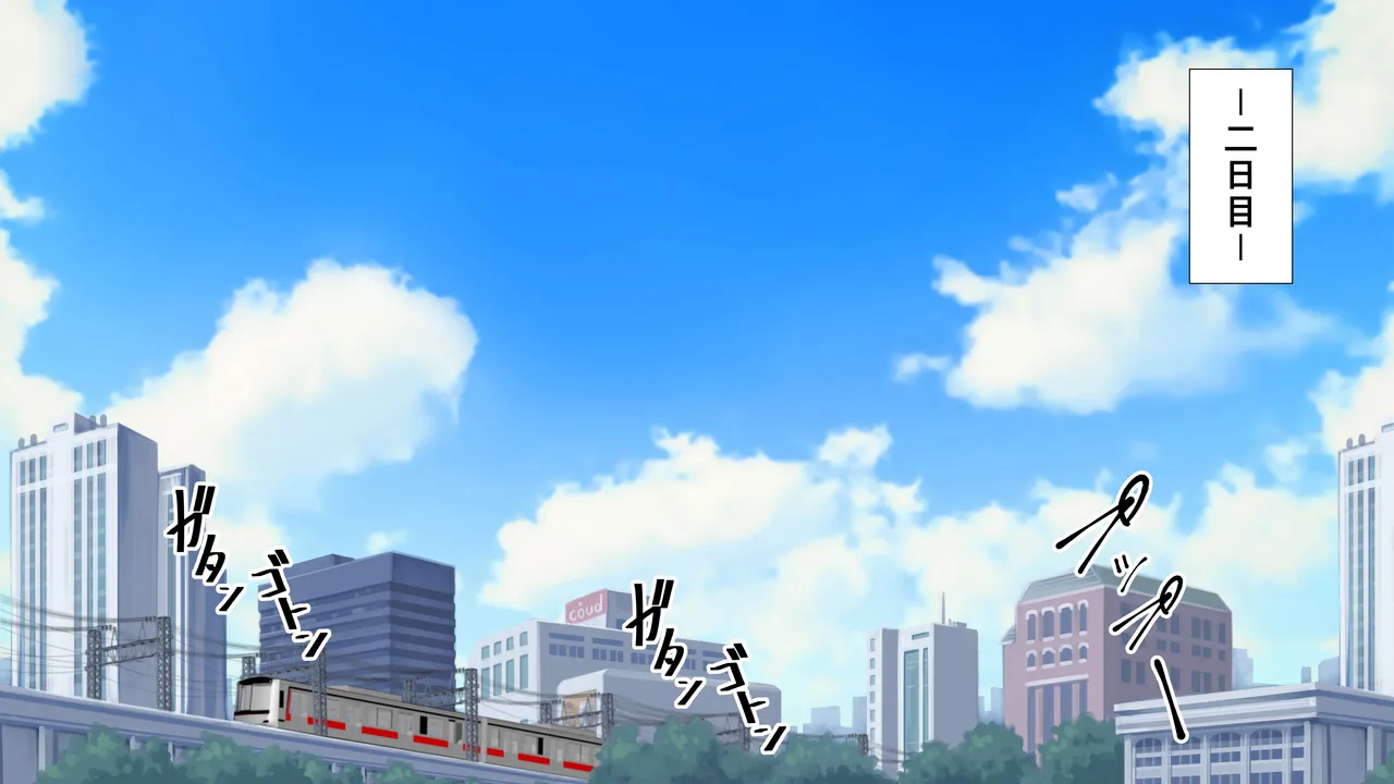 膣破壊系女子8 Page.11