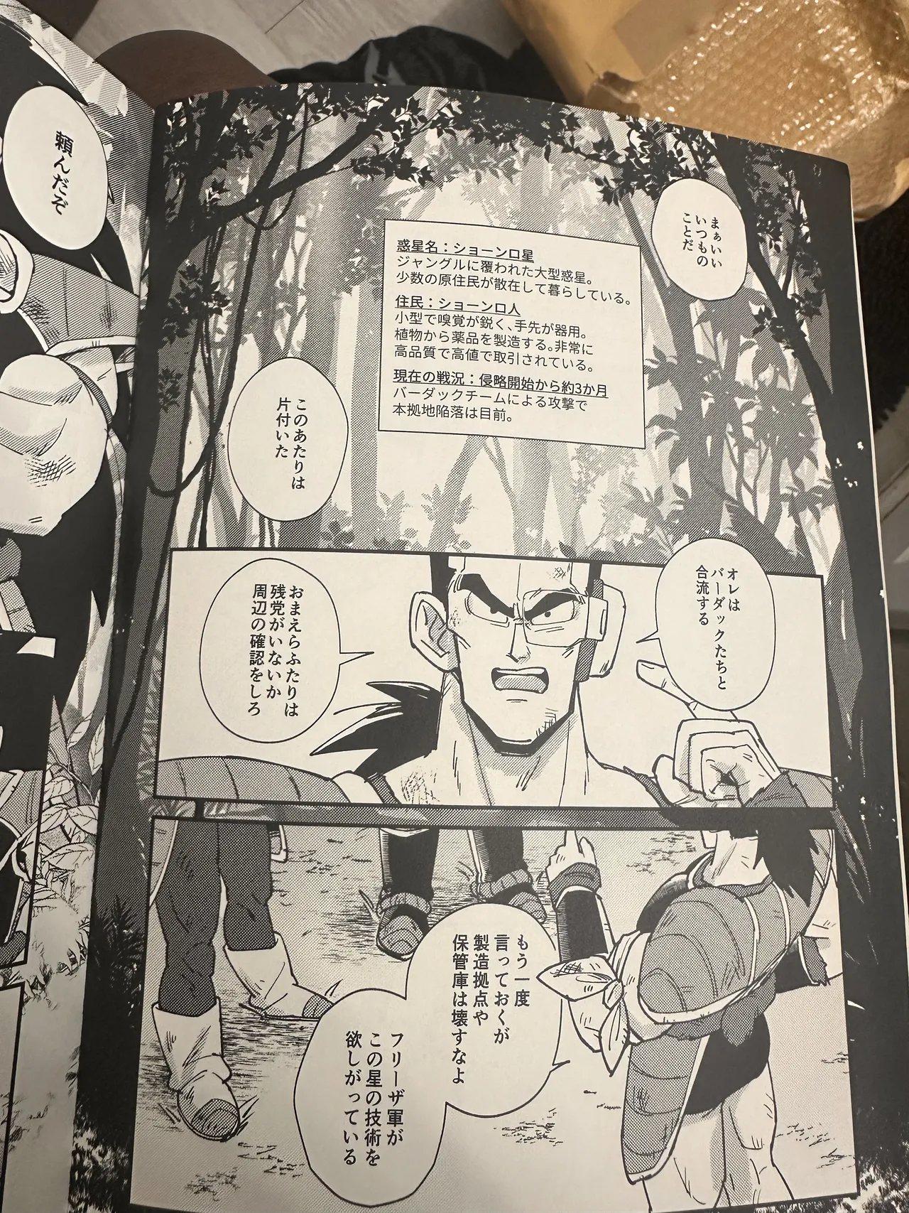 Raditz Page.26