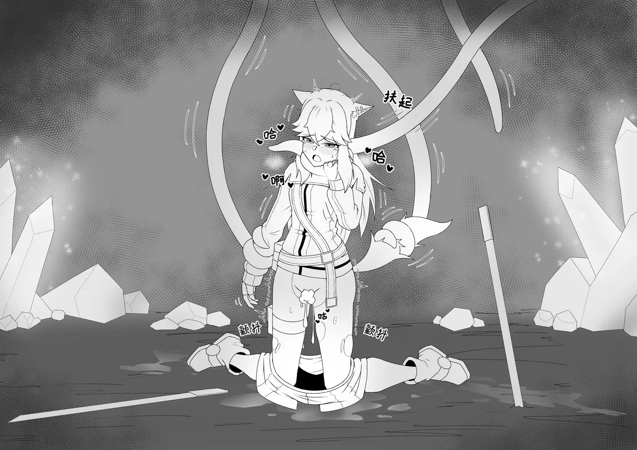 NOMAD 27460657 Page.17