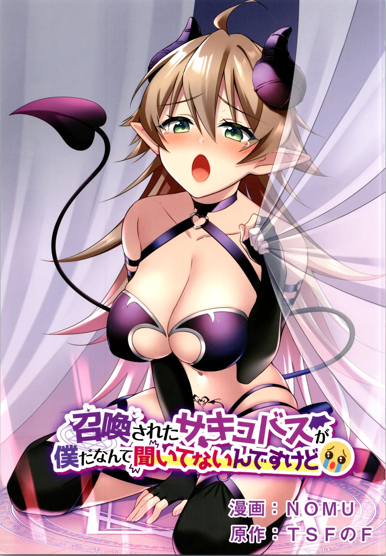 TSFのFのほん その12 Page.3