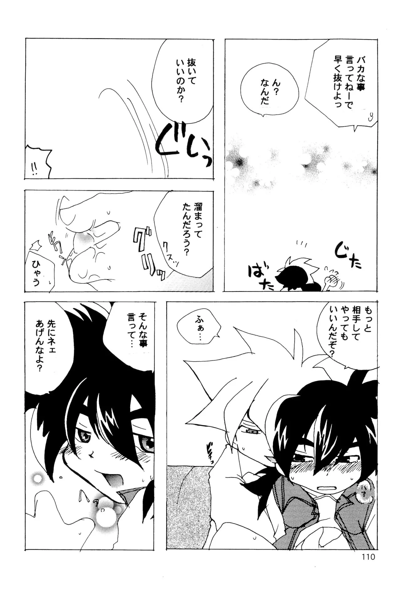 カプセルブック Page.110