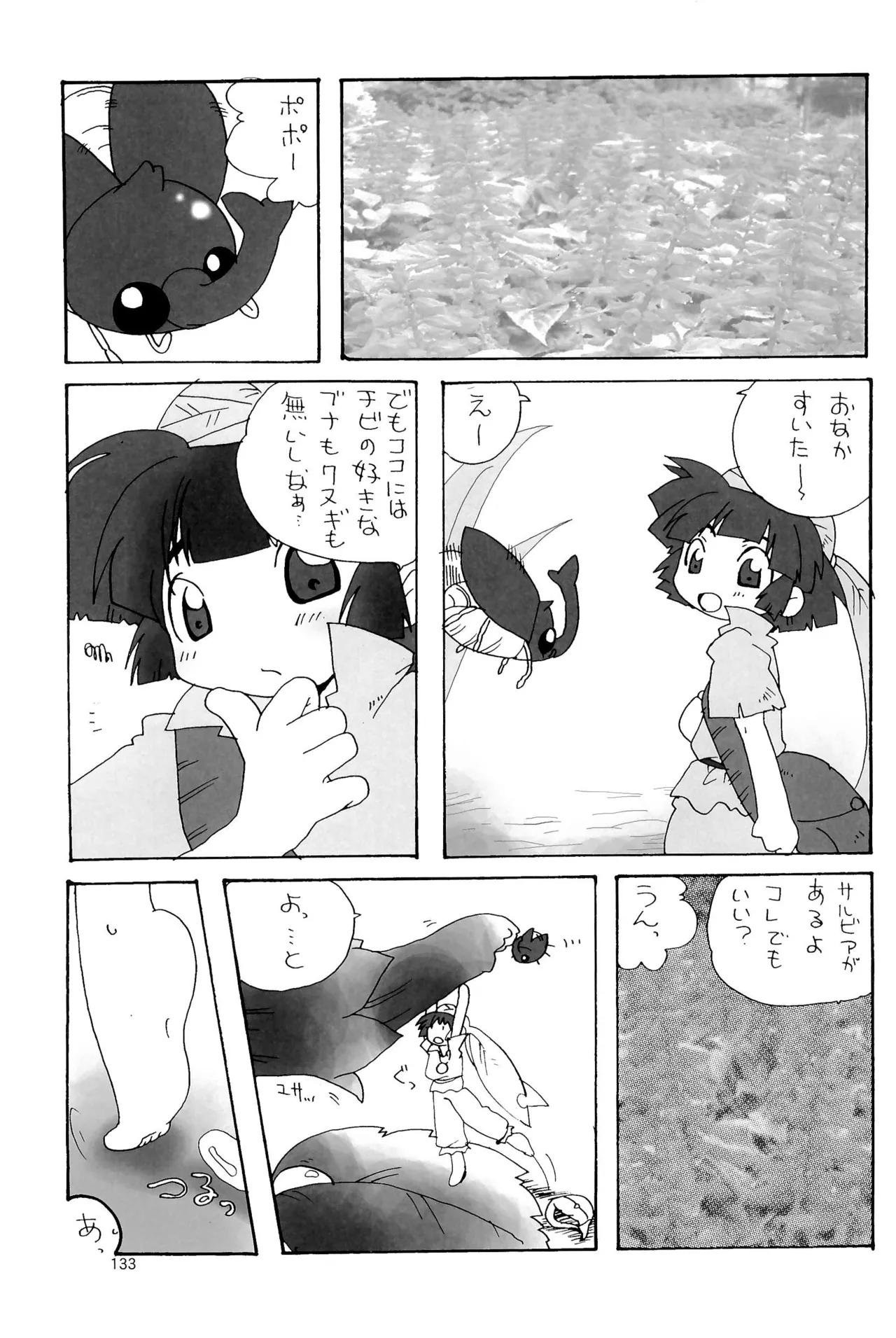 カプセルブック Page.133