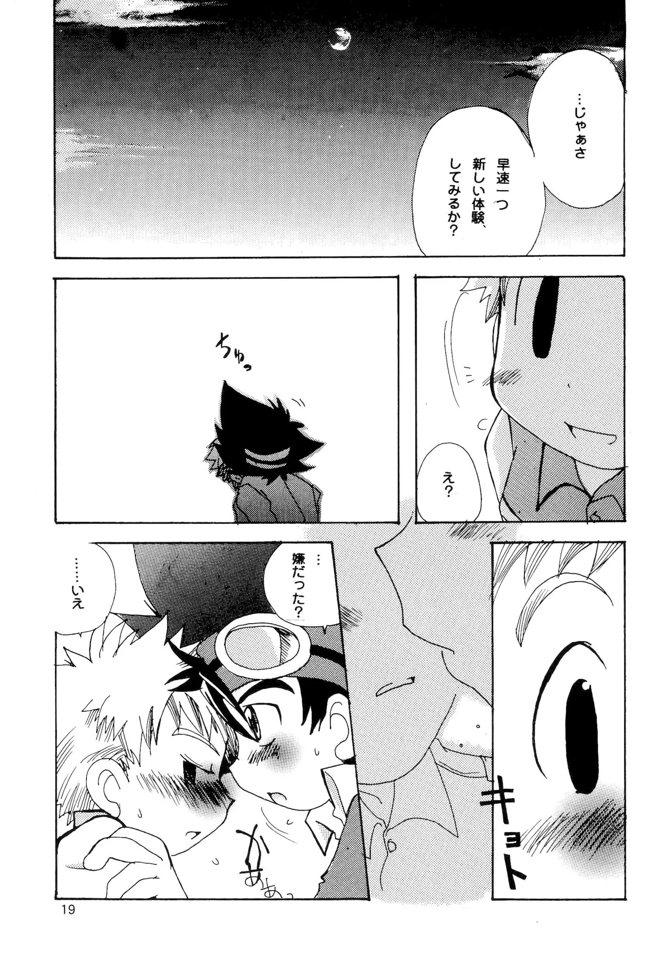カプセルブック Page.19