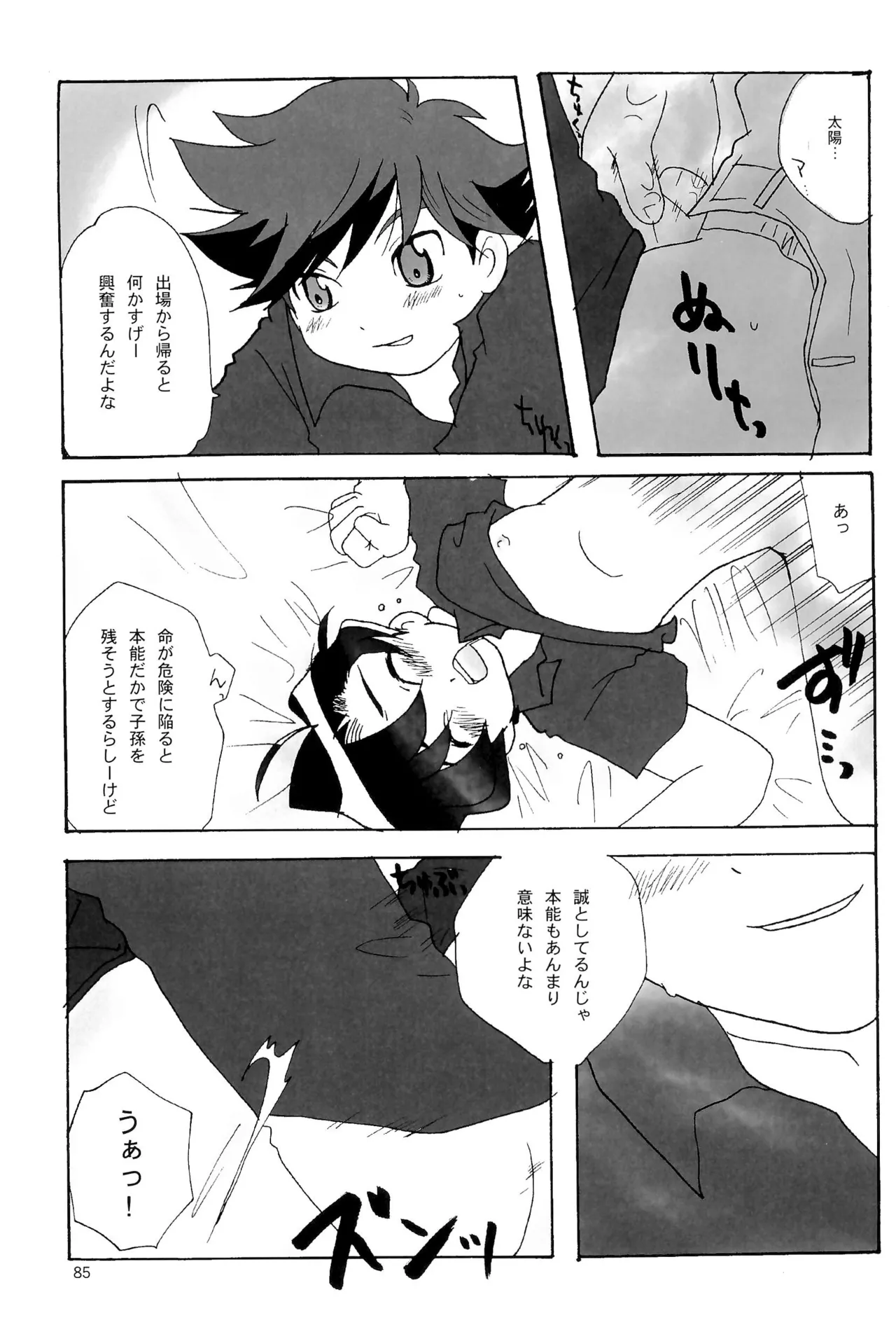 カプセルブック Page.85