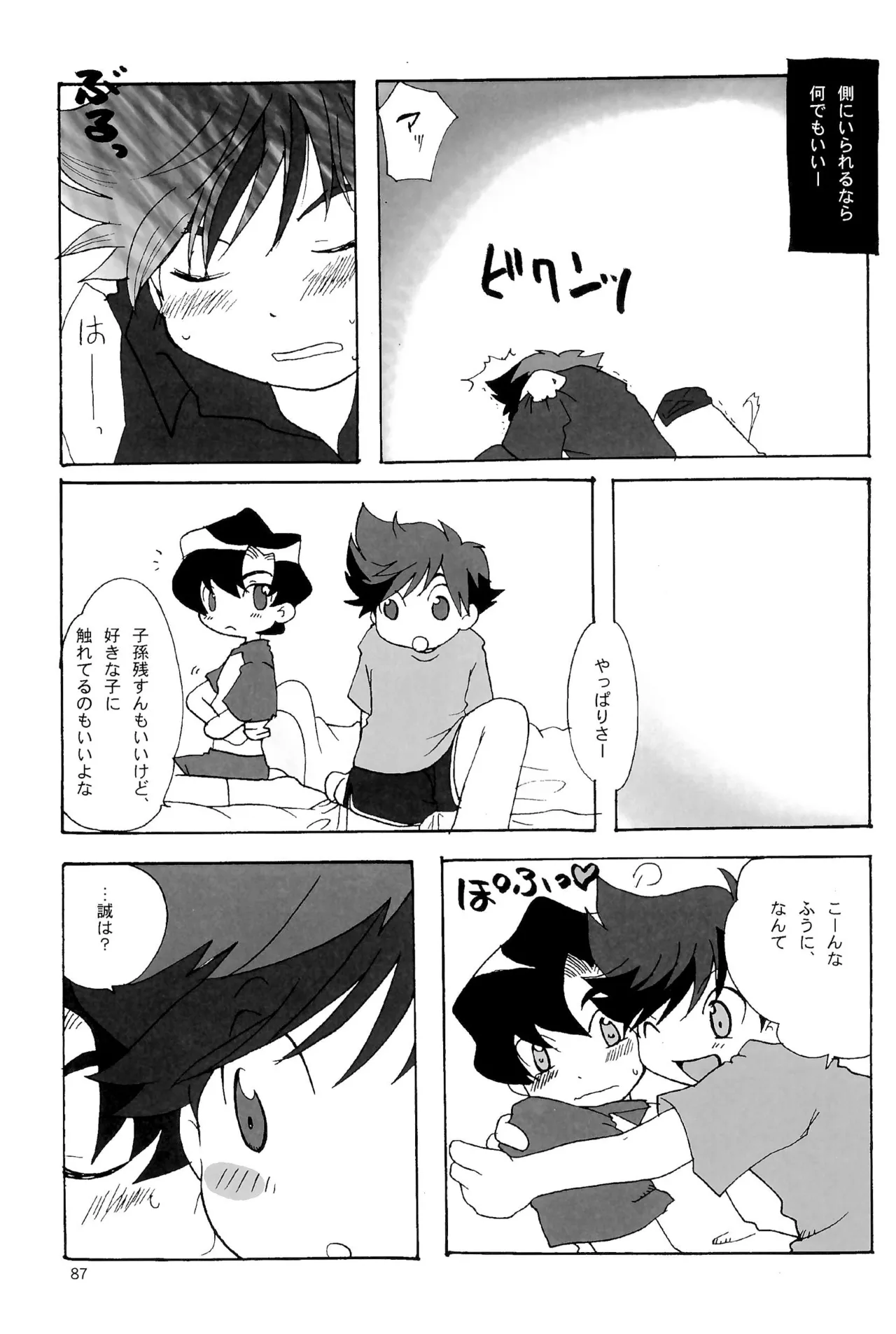 カプセルブック Page.87