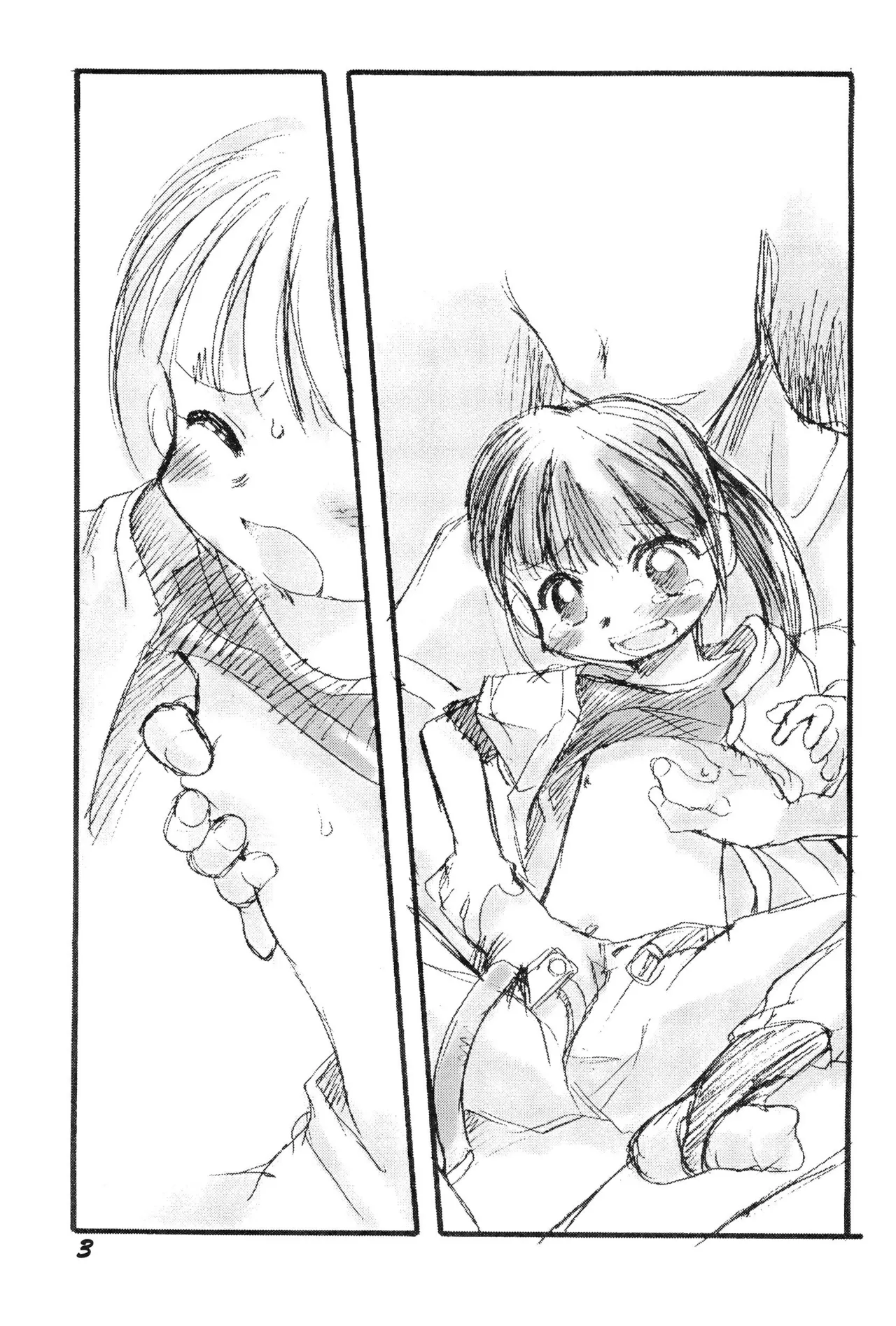 ナイショだよのおまけの本 Page.3