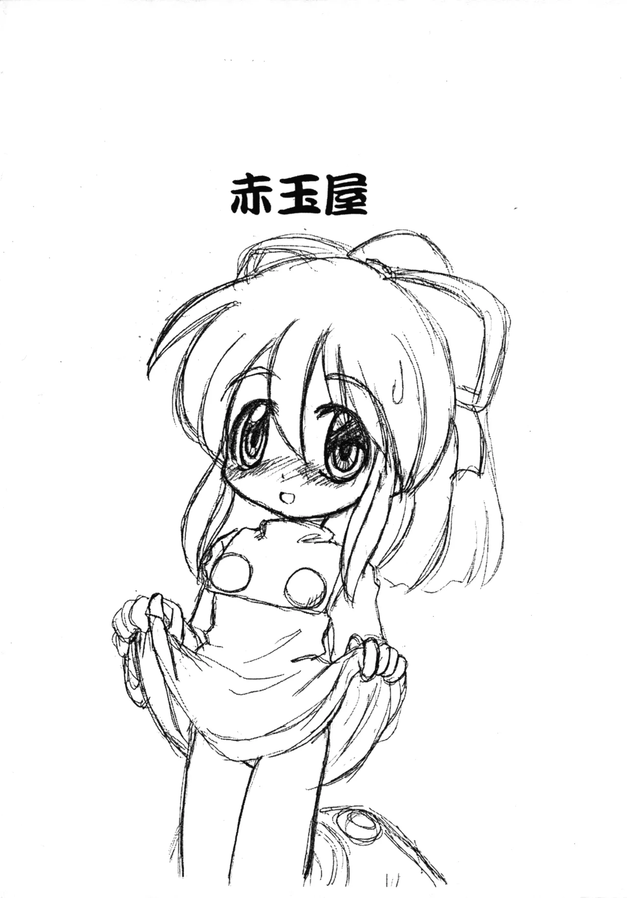 赤玉屋広報 巻之壱 Page.12