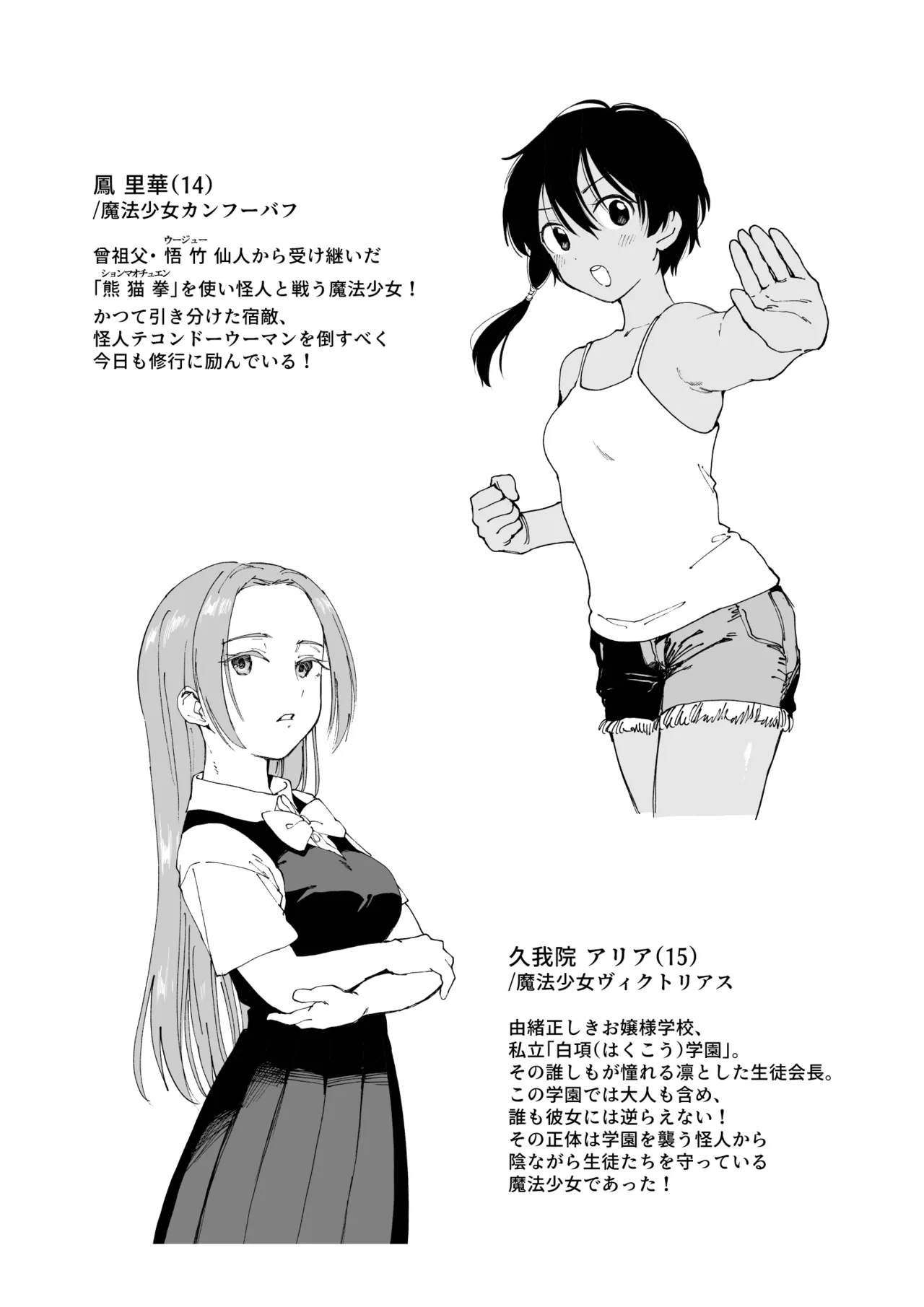 魔法少女シリーズ Page.24