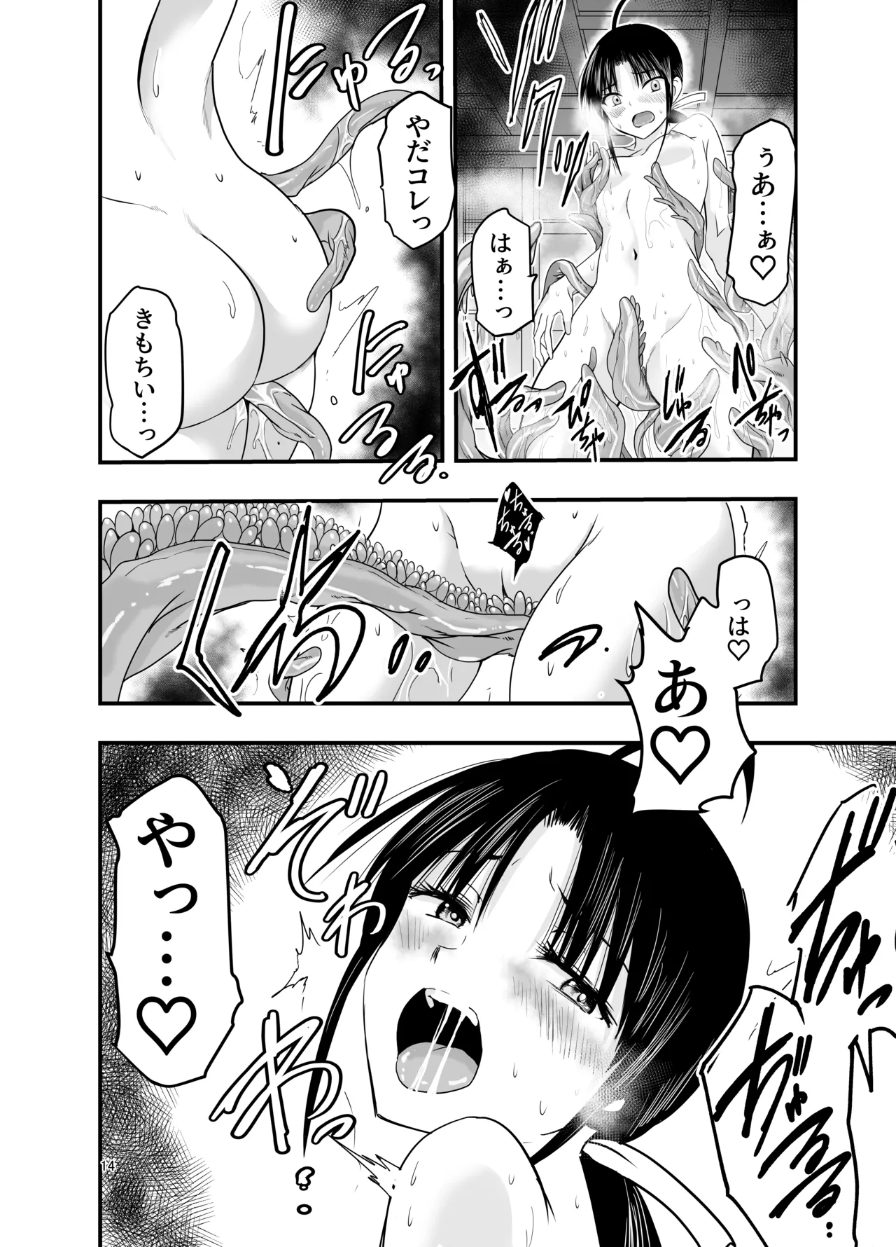 触手は贄に理解らせたい Page.14