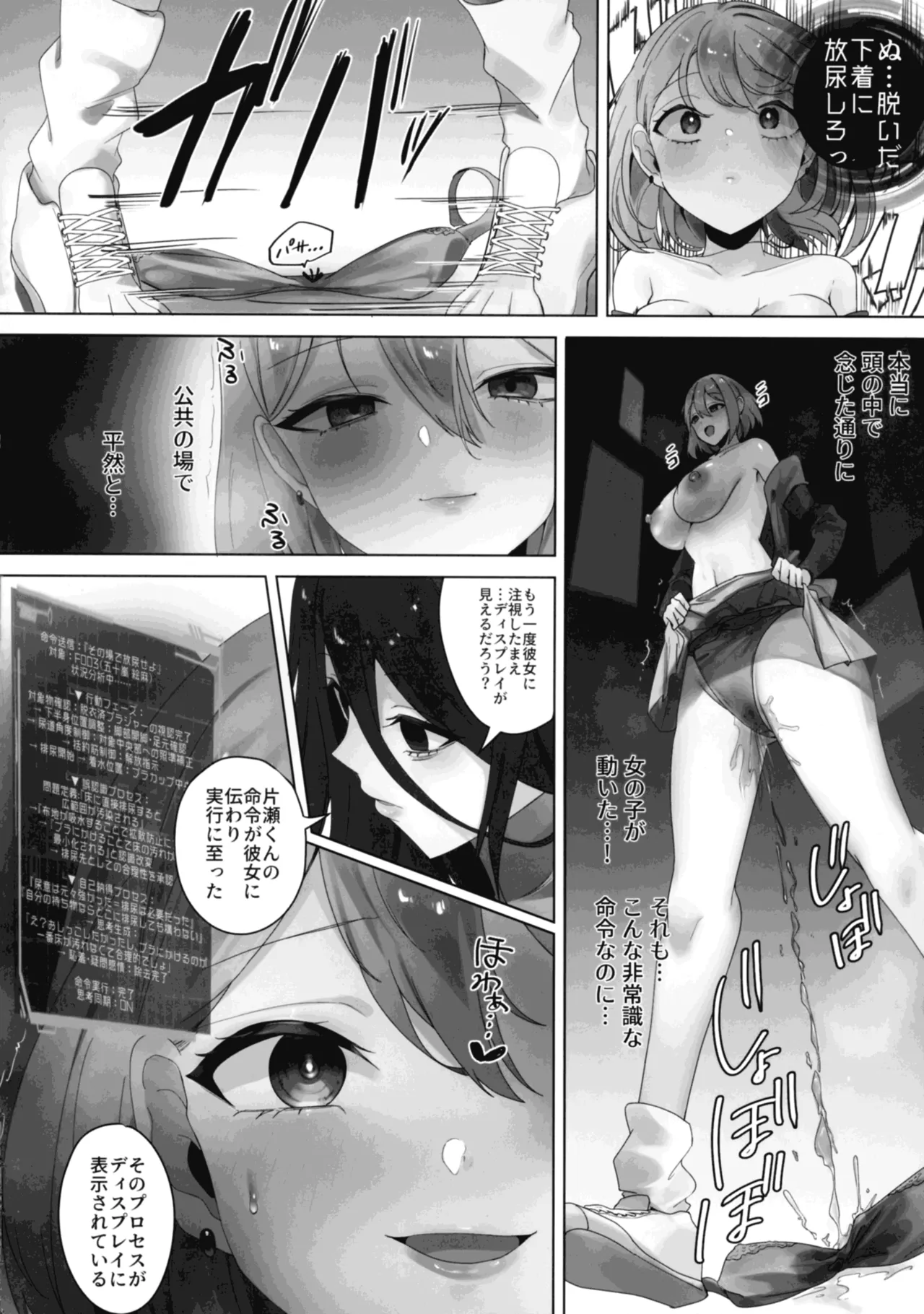 ナノマシン投与による端末化女性個体群への操作可能性に関する諸考察 Page.12