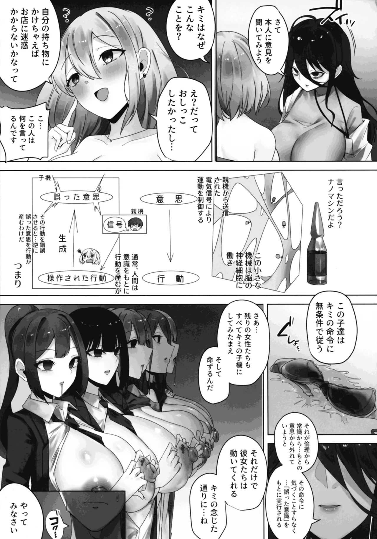 ナノマシン投与による端末化女性個体群への操作可能性に関する諸考察 Page.13