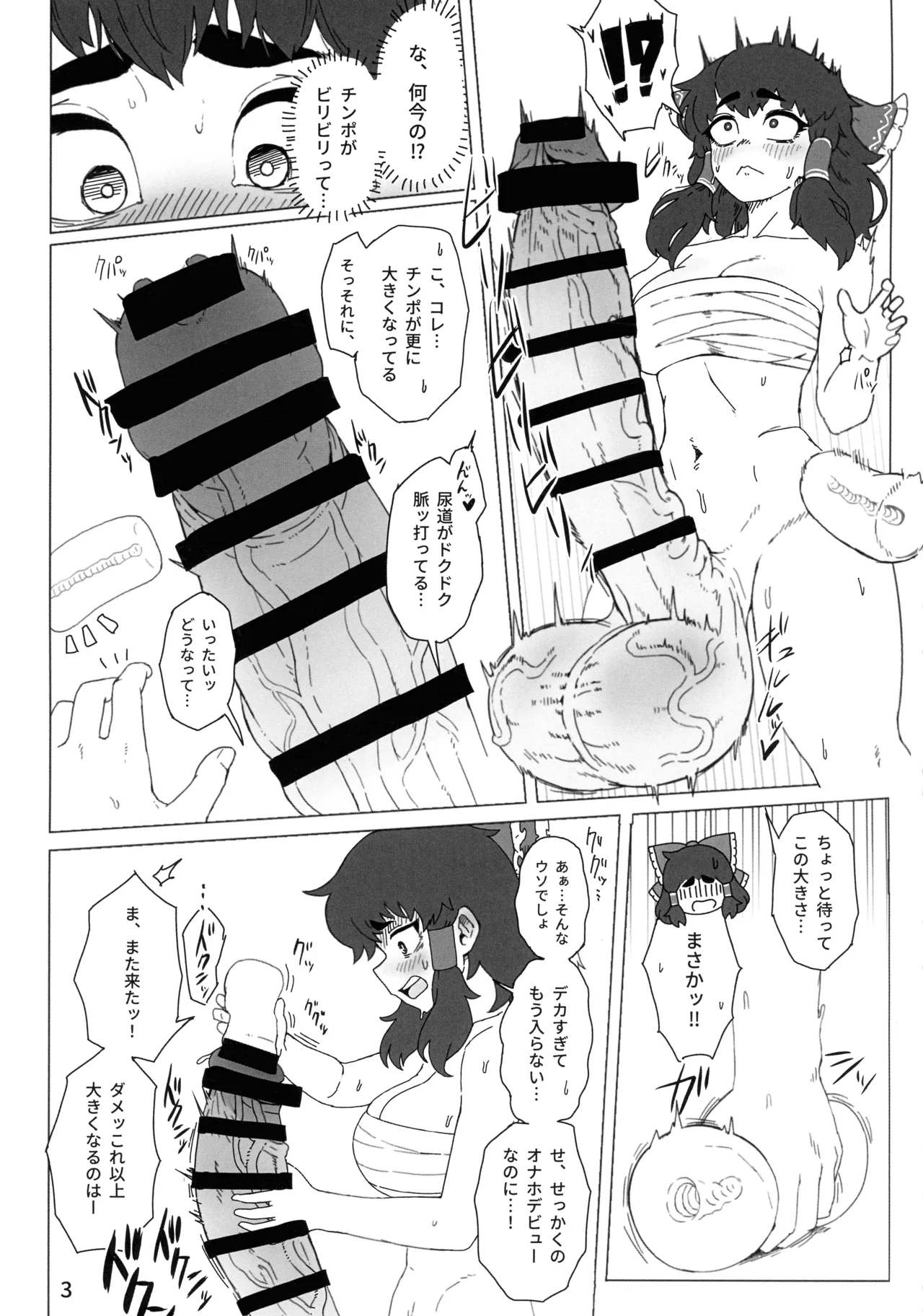 東方ふたなり事変 巫女と妖精、初めての尿道セックス Page.5