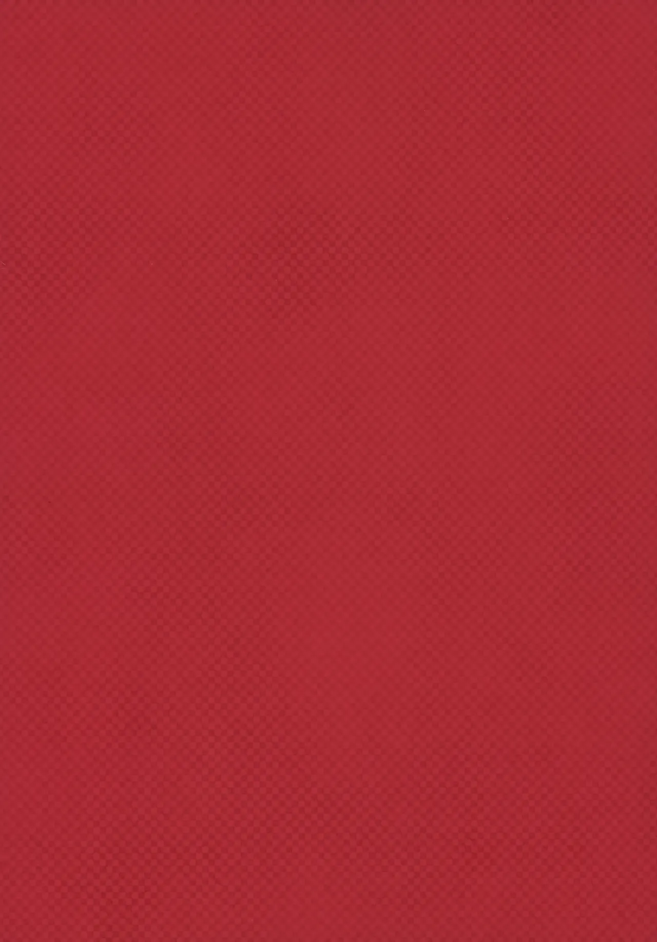 REMAINING FLAMES Page.2