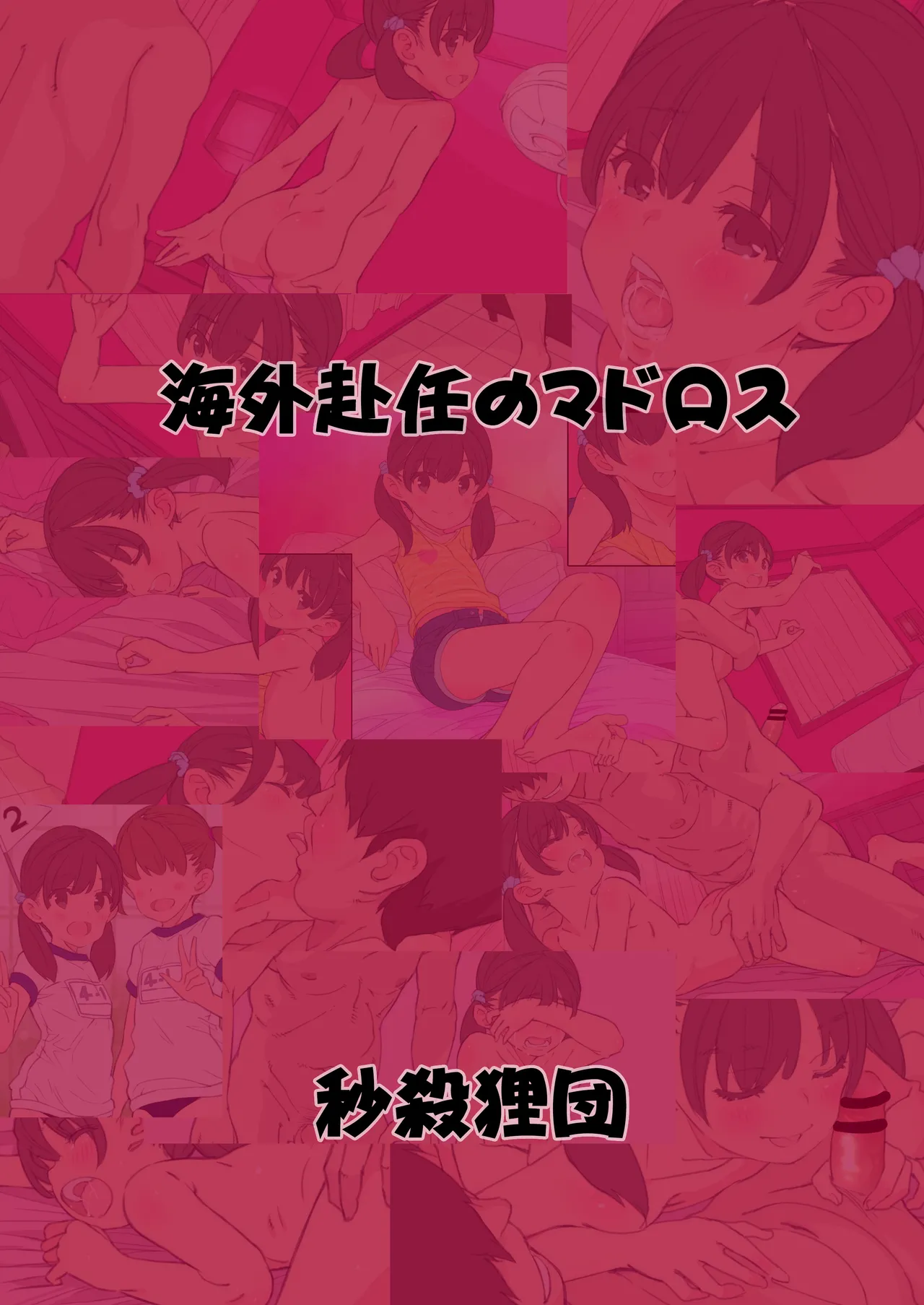 海外赴任のマドロスプレビュー版