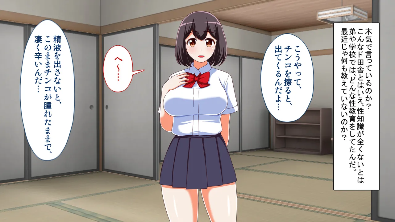 田舎の姪が無知だったので、性教育を施してやった件 Page.13