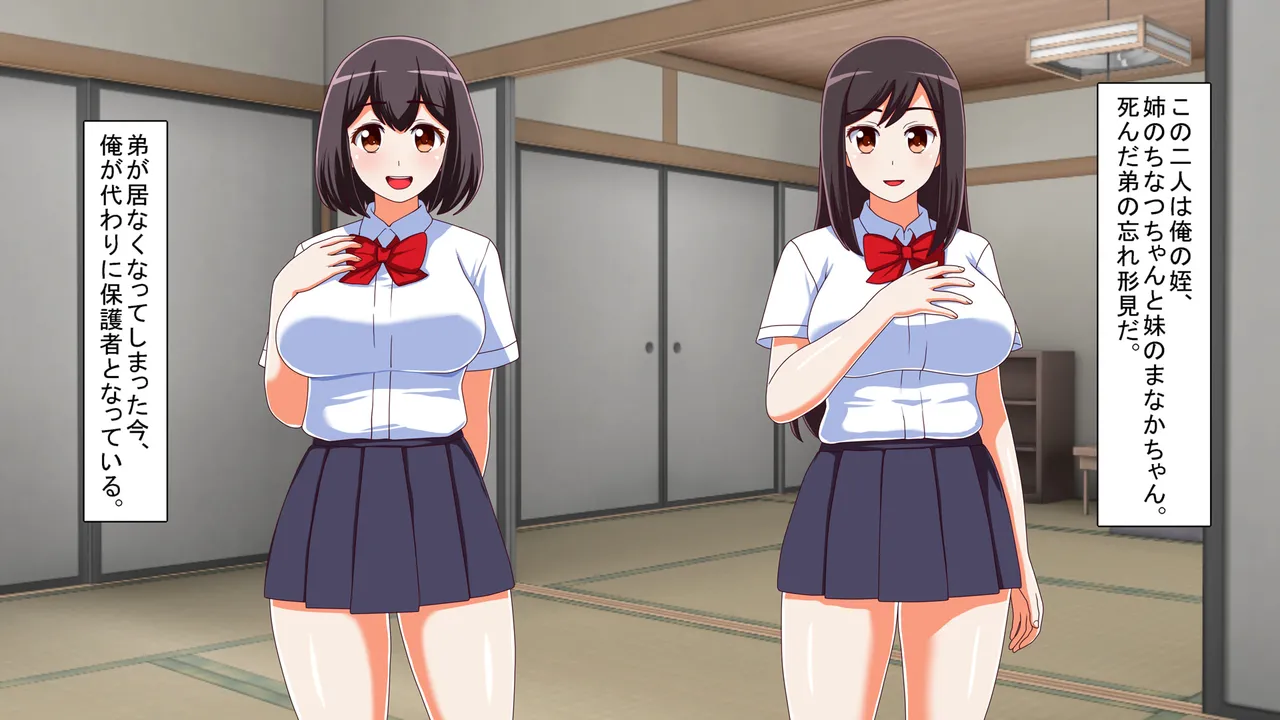 田舎の姪が無知だったので、性教育を施してやった件 Page.4