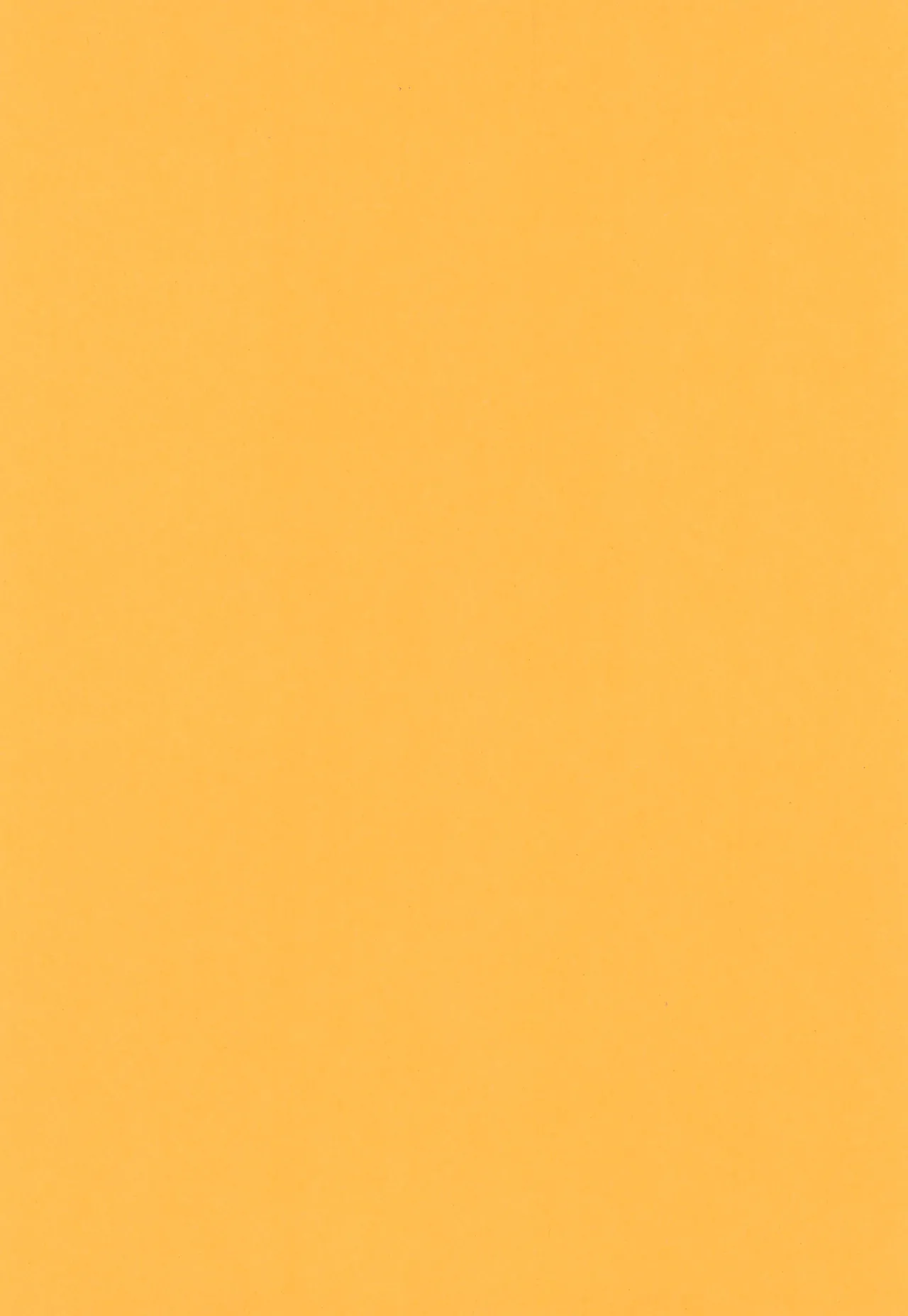 伊達に酔狂 Page.4