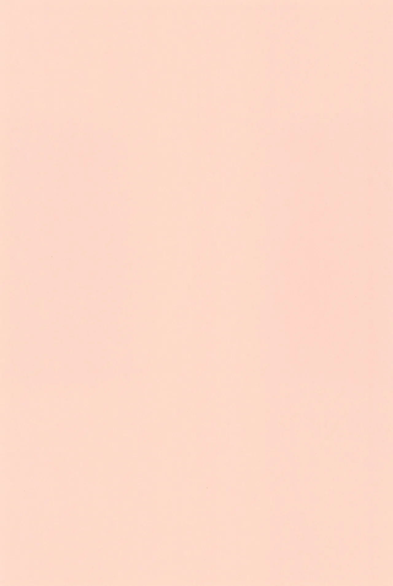 にゃんでもするから! Page.41