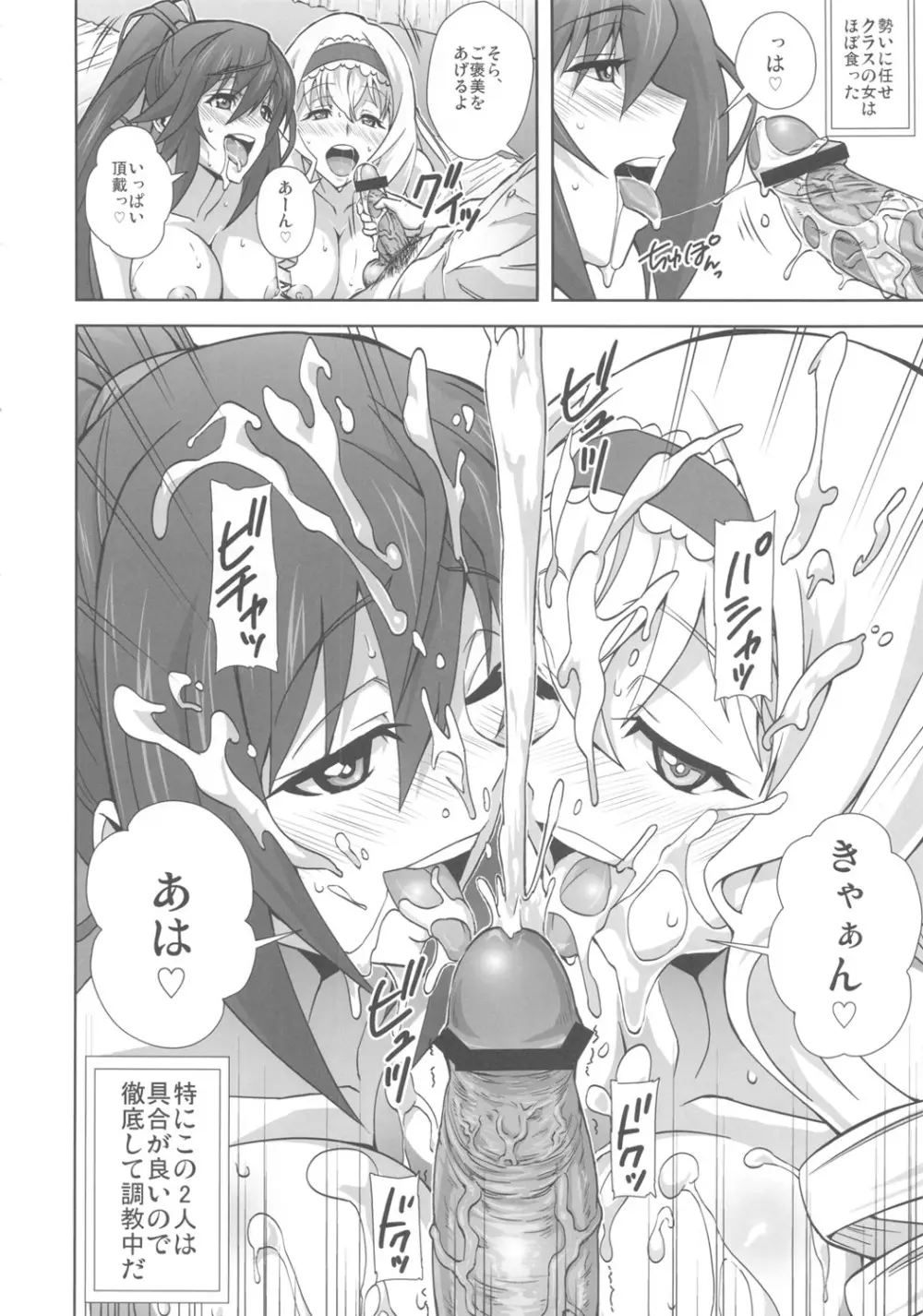 淫フィニットドSトラトス Page.5