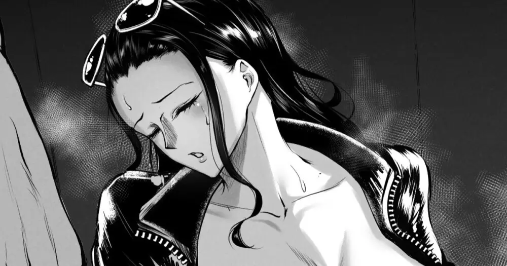 ロビン凌辱日誌