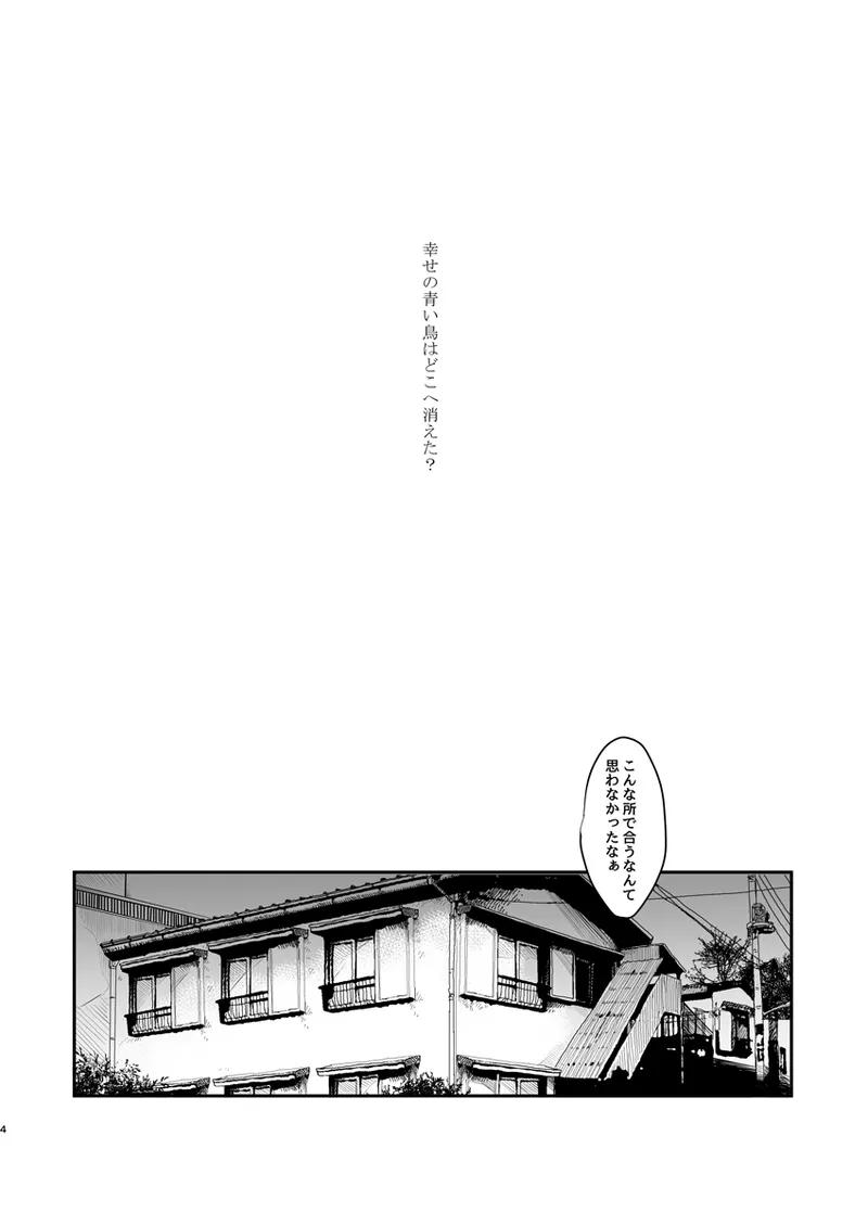 《web再録》幸せの青い鳥はどこへ消えた？ Page.3