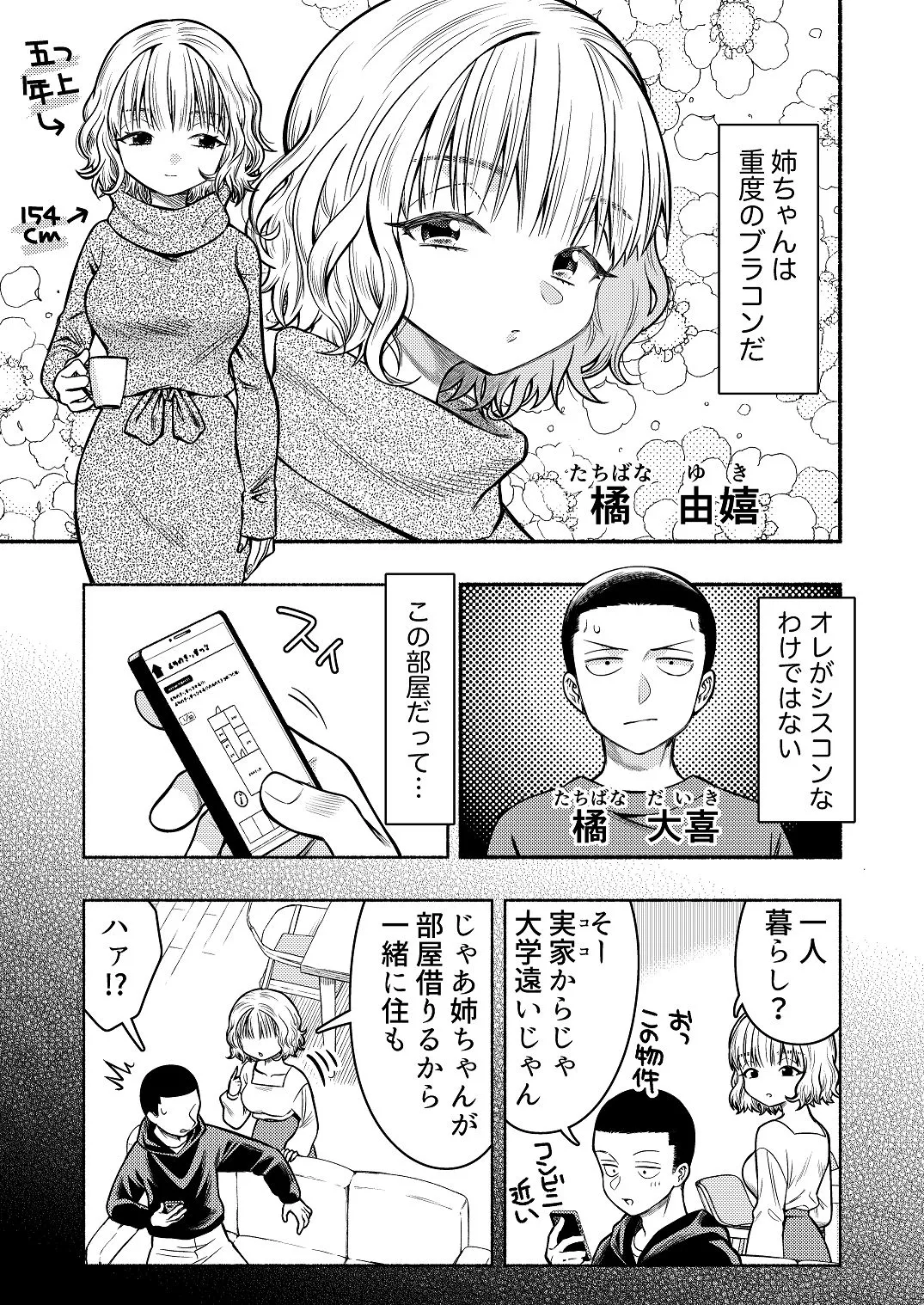 同棲してる姉と弟〜一線を越えた夜〜 Page.3