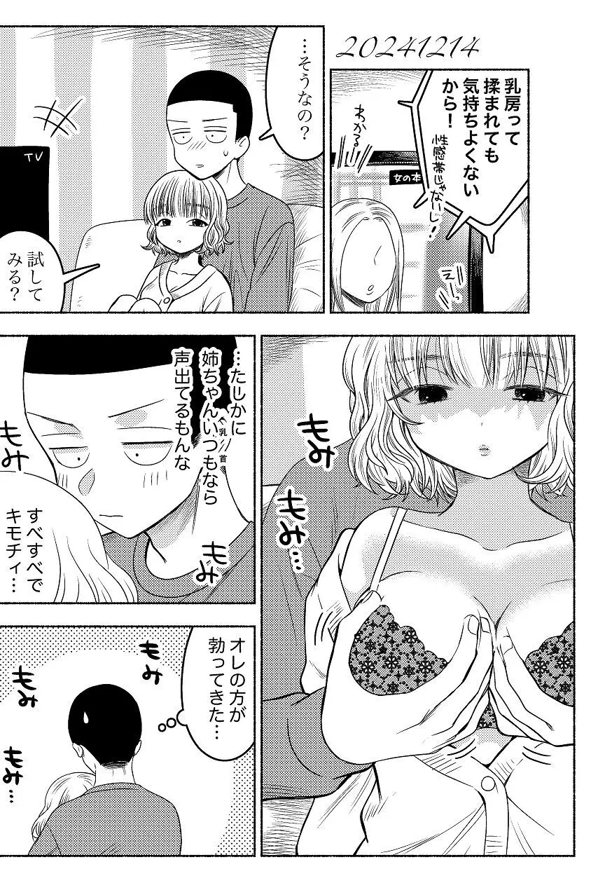 同棲してる姉と弟2タガが外れてヤリ部屋化 Page.111