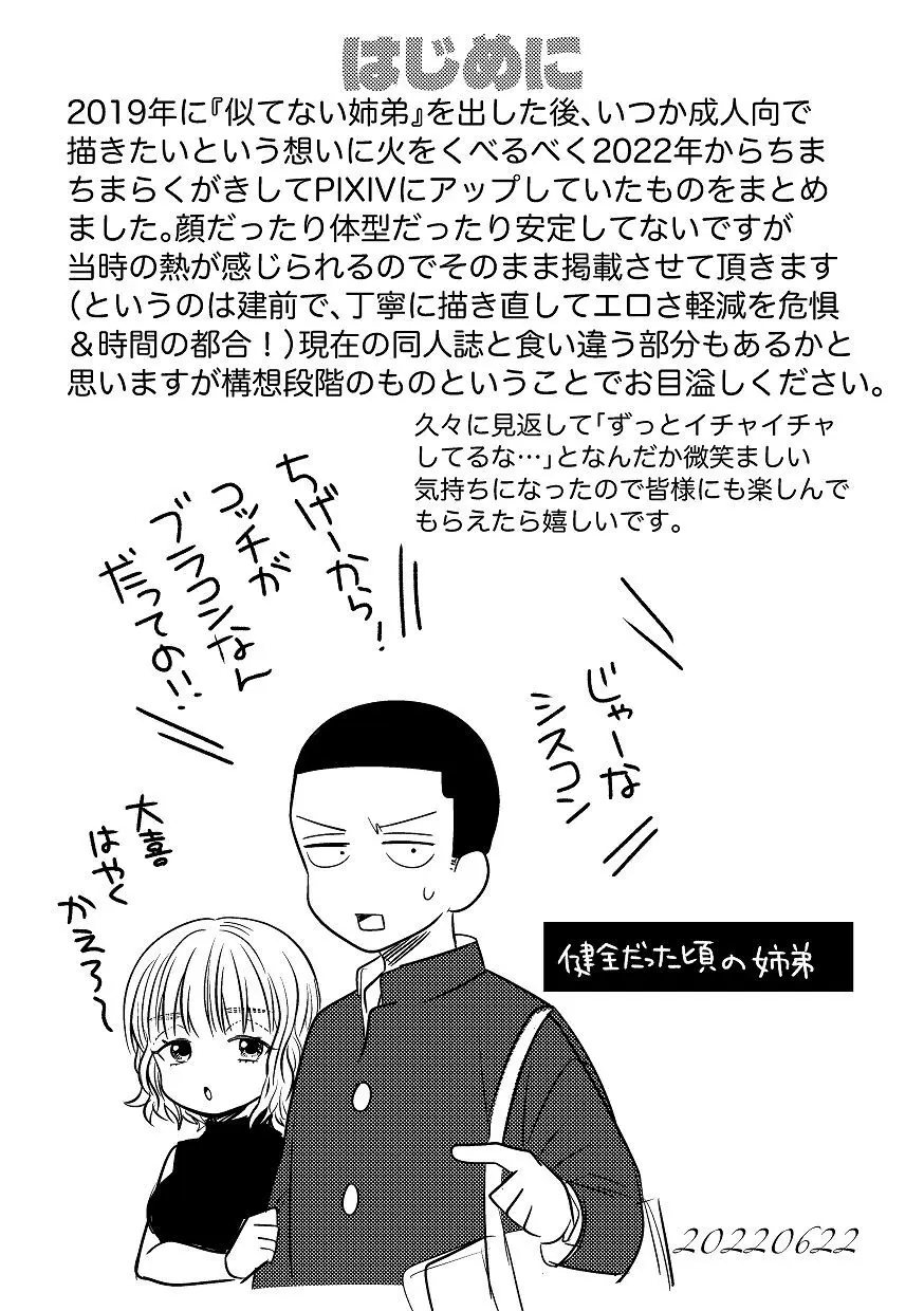 同棲してる姉と弟2タガが外れてヤリ部屋化 Page.67