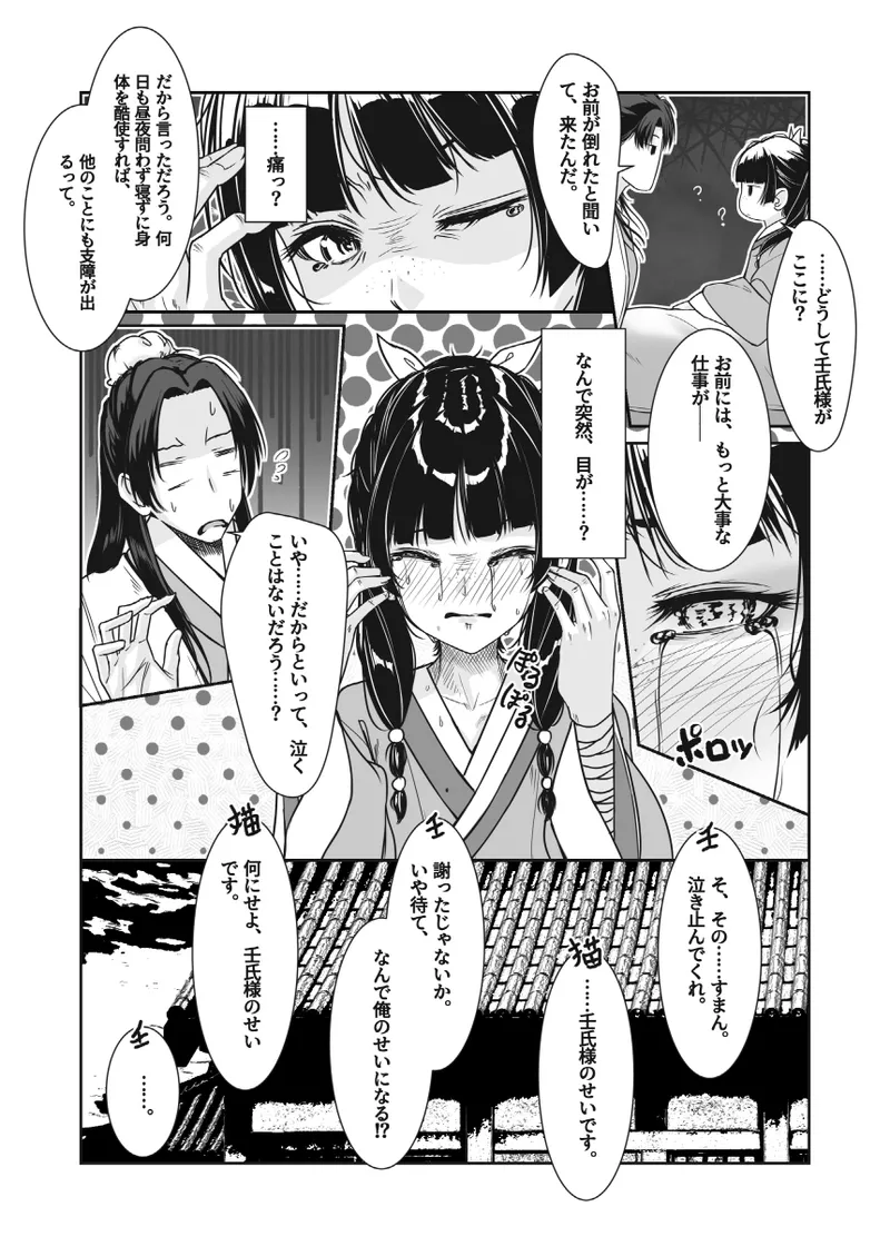 観察報告書-猫猫 Page.27