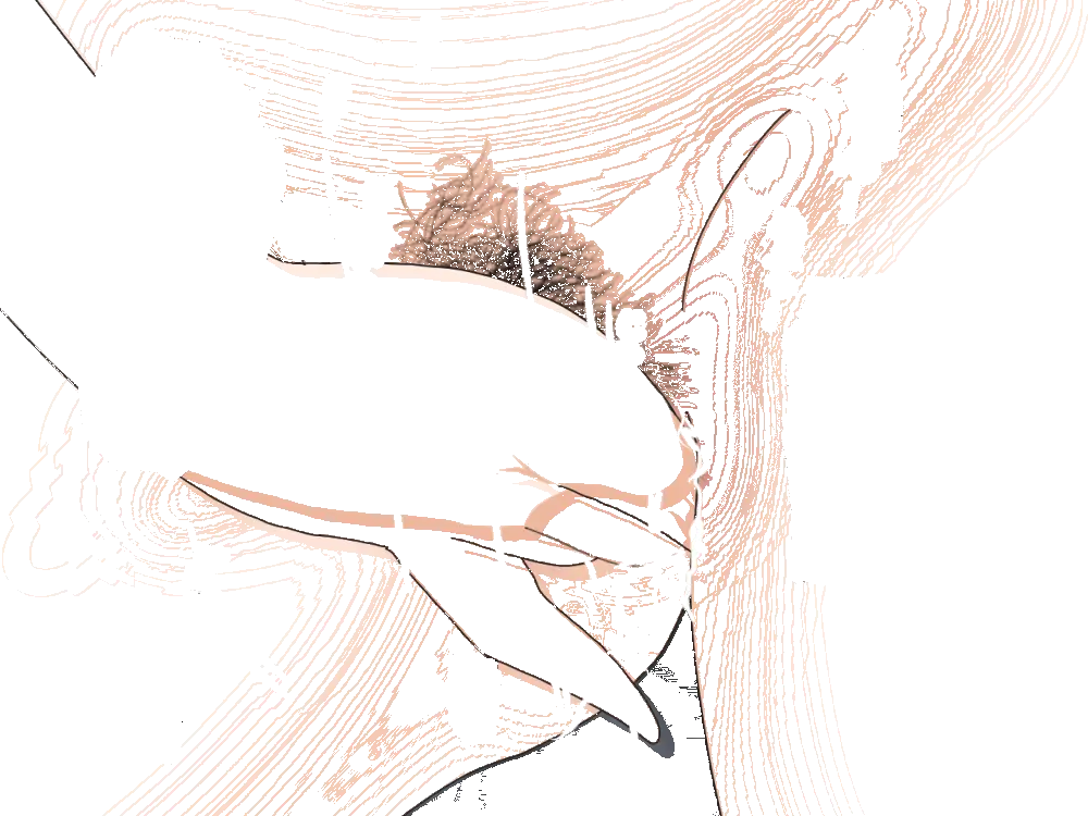 杜戸先生と苫田ママをレズらせて3Pしてみた夜-と…その後の話 Page.279