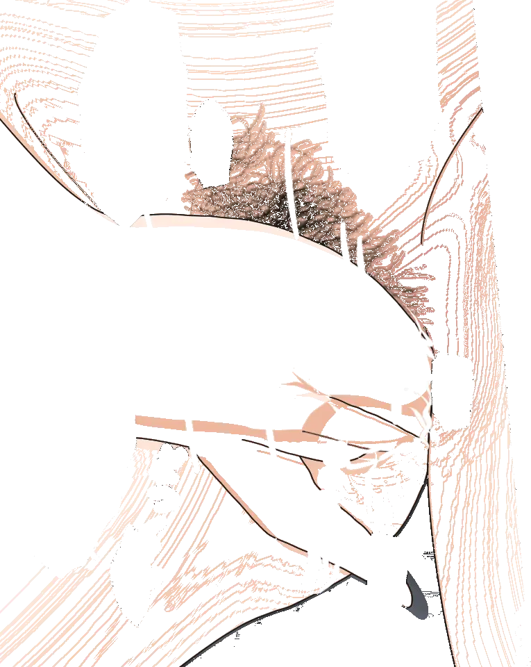 杜戸先生と苫田ママをレズらせて3Pしてみた夜-と…その後の話 Page.281