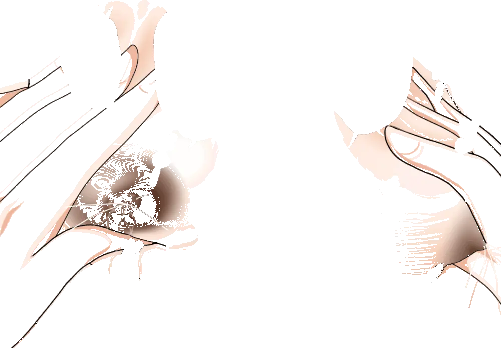 杜戸先生と苫田ママをレズらせて3Pしてみた夜-と…その後の話 Page.67