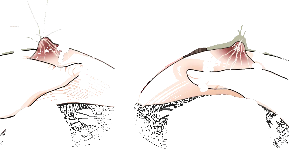 杜戸先生と苫田ママをレズらせて3Pしてみた夜-と…その後の話 Page.74