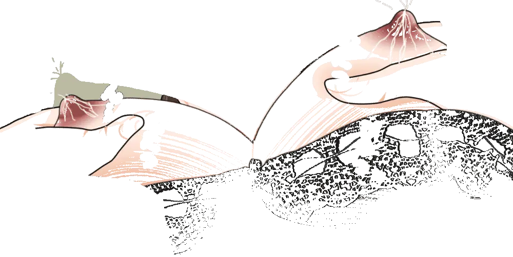 杜戸先生と苫田ママをレズらせて3Pしてみた夜-と…その後の話 Page.75