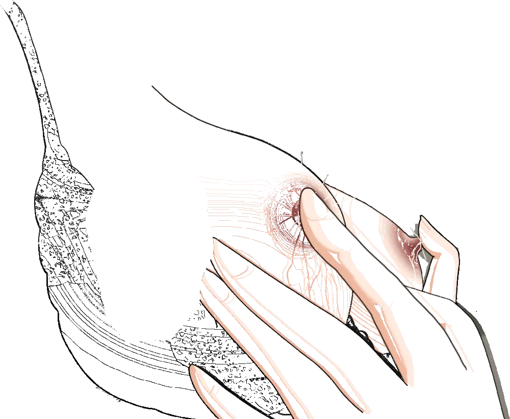 杜戸先生と苫田ママをレズらせて3Pしてみた夜-と…その後の話 Page.76