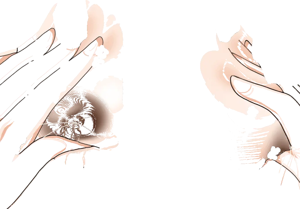 杜戸先生と苫田ママをレズらせて3Pしてみた夜-と…その後の話 Page.82